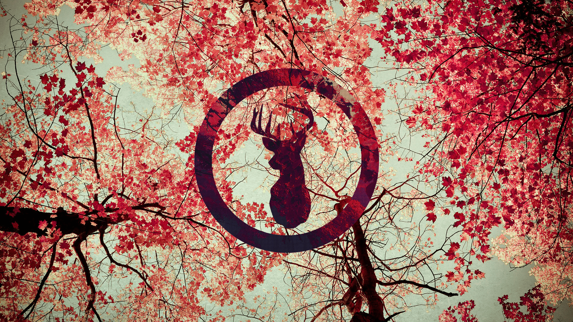 1920x1080 Silhouette of a deer on a background of autumn leaves wallpaper and image, picture, photo