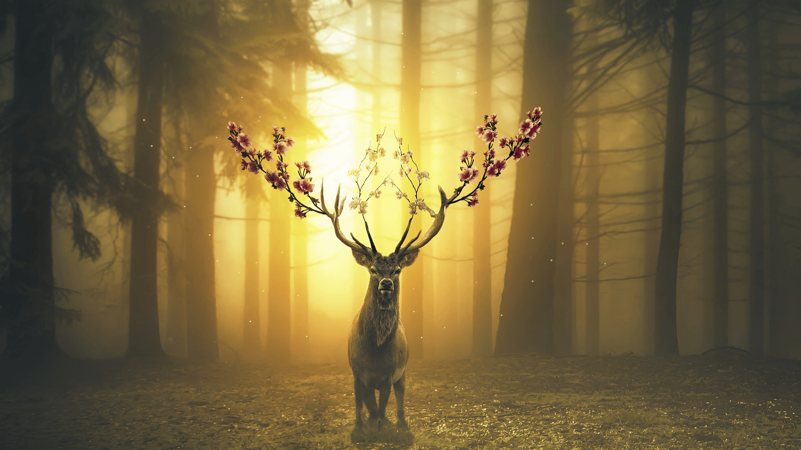 2560x1440 Download 2560x1440 Deer, Flowers, Horns, Forest, Autumn, Surrealism Wallpaper for iMac 27 inch