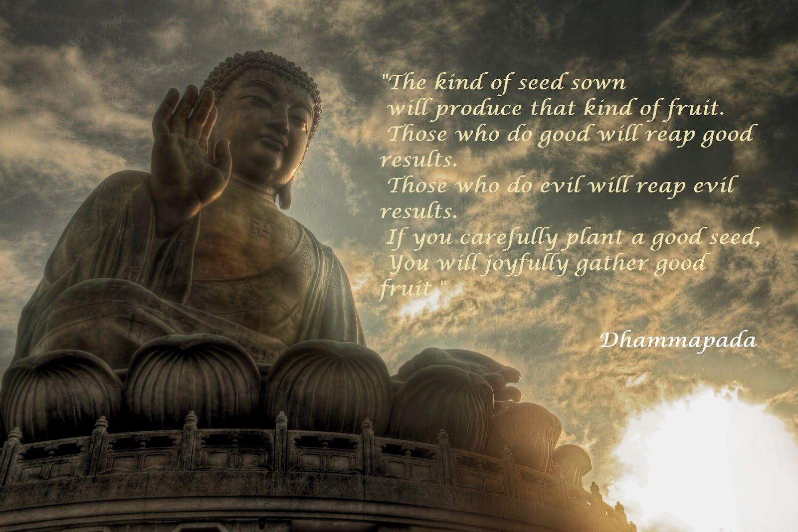 1600x1067 Free download Image Quotes Buddha Sayings Life Change Wallpaper [1600x1067] for your Desktop, Mobile & Tablet. Explore Buddha Quote Wallpaper. Buddha Wallpaper, Buddhist Image Wallpaper, Buddha Image Wallpaper