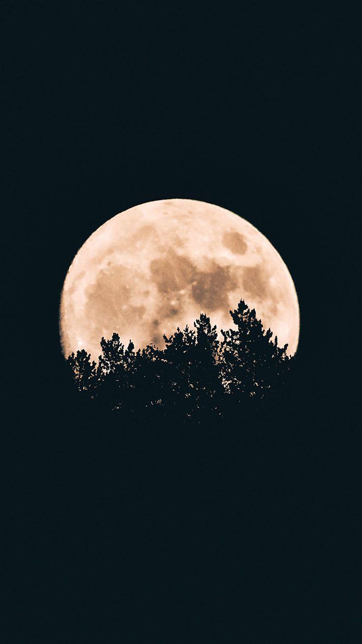 736x1308 Halloween iPhone Wallpaper By Preppy Wallpaper Xs Max Moon Wallpaper HD HD Wallpaper