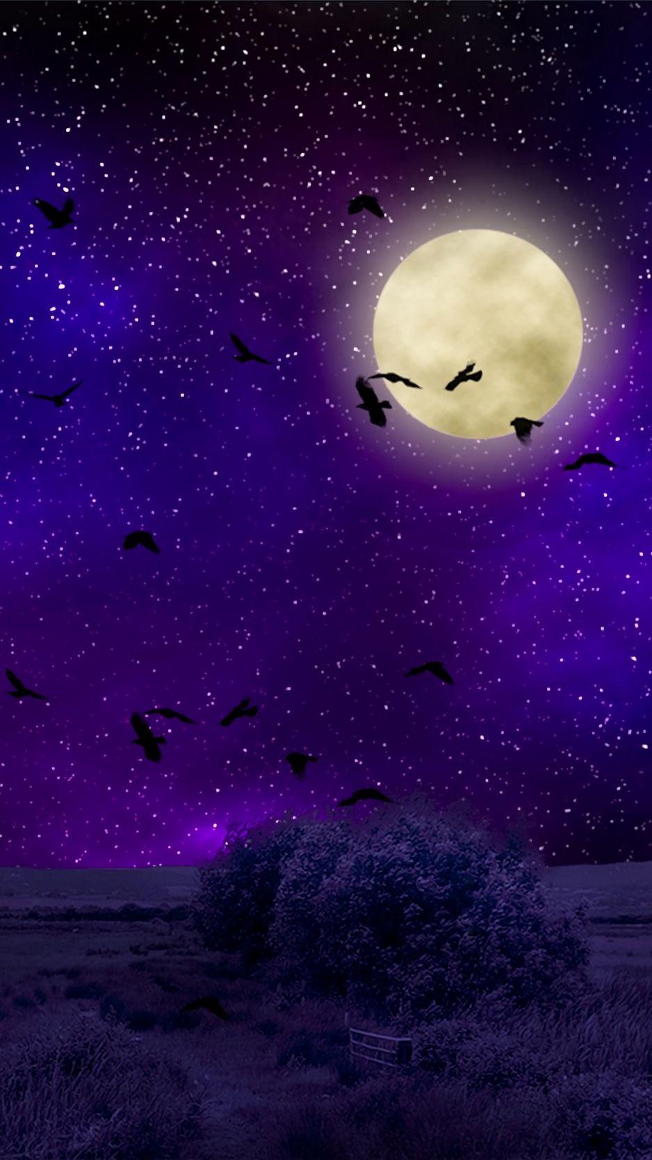 938x1668 Full moon, starry sky, birds, night, photohop wallpaper