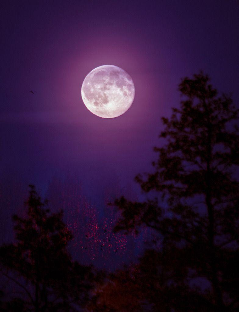 784x1024 Purple night, purple night #moon #moonlight #moonscape #sky #night. Night sky moon, Moonscape, Moon shadow