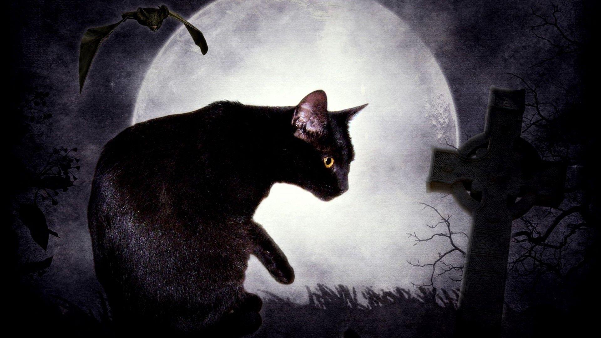 1920x1080 Fantasy dark cats Black Cat fantasy art digital art cemetery Edgar Allan Poe bats The Black Cat tombs wallpaperx1080