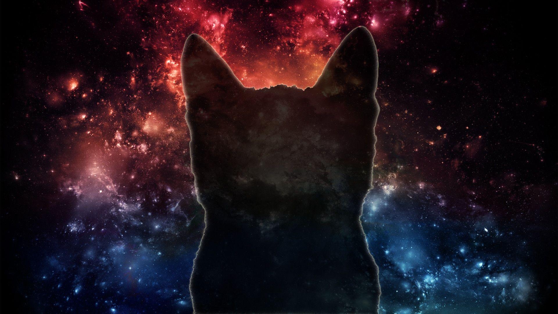 1920x1080 Space Cat [1920x1080] - Galaxy Cat Background - 1920x1080 - Tải xuống Hình nền HD