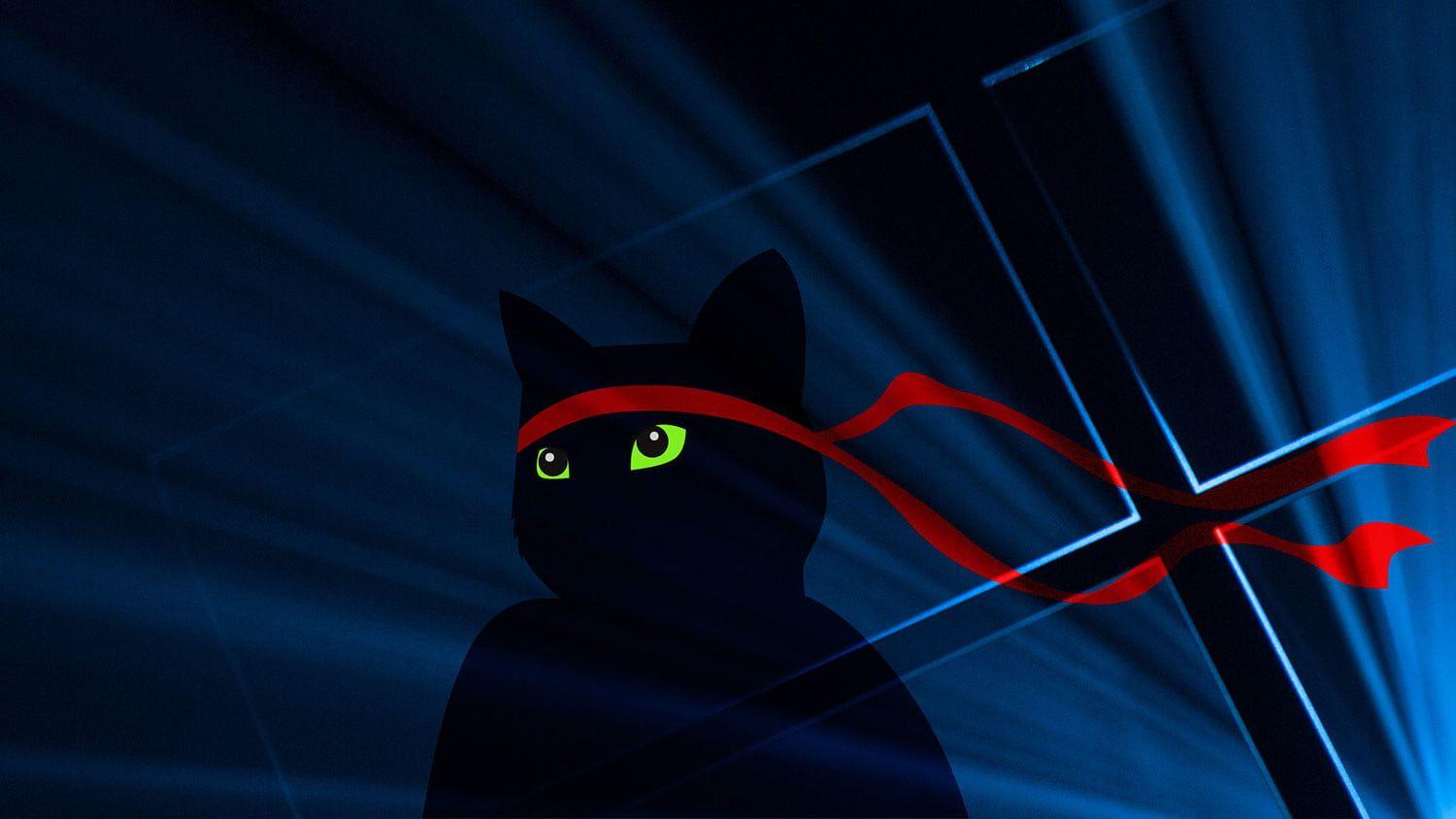 1500x844 Microsoft Dops Ninja Cat Wallpaper for Anniversary Festivities