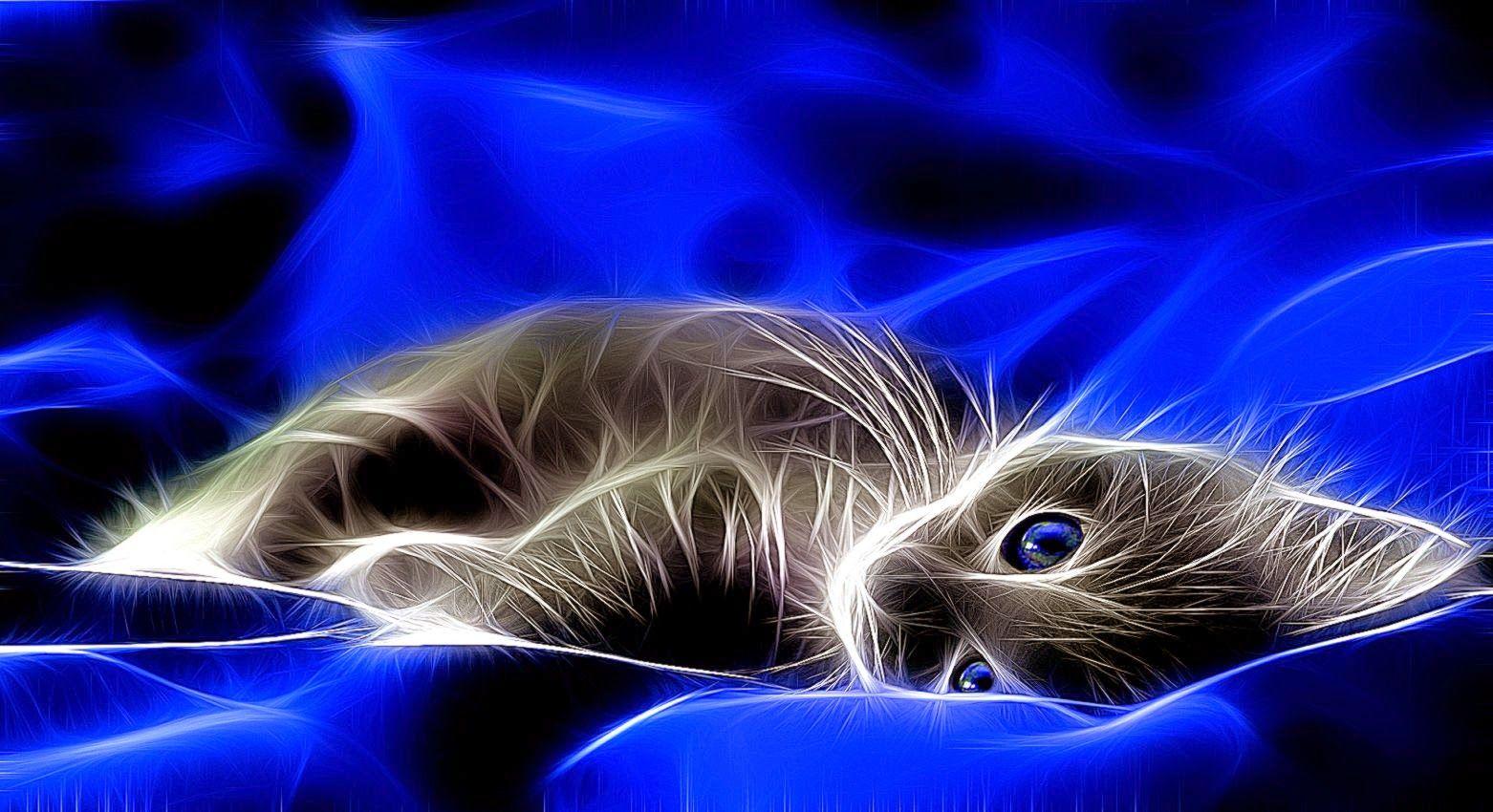 1562x850 3D Moving Cats Wallpaper