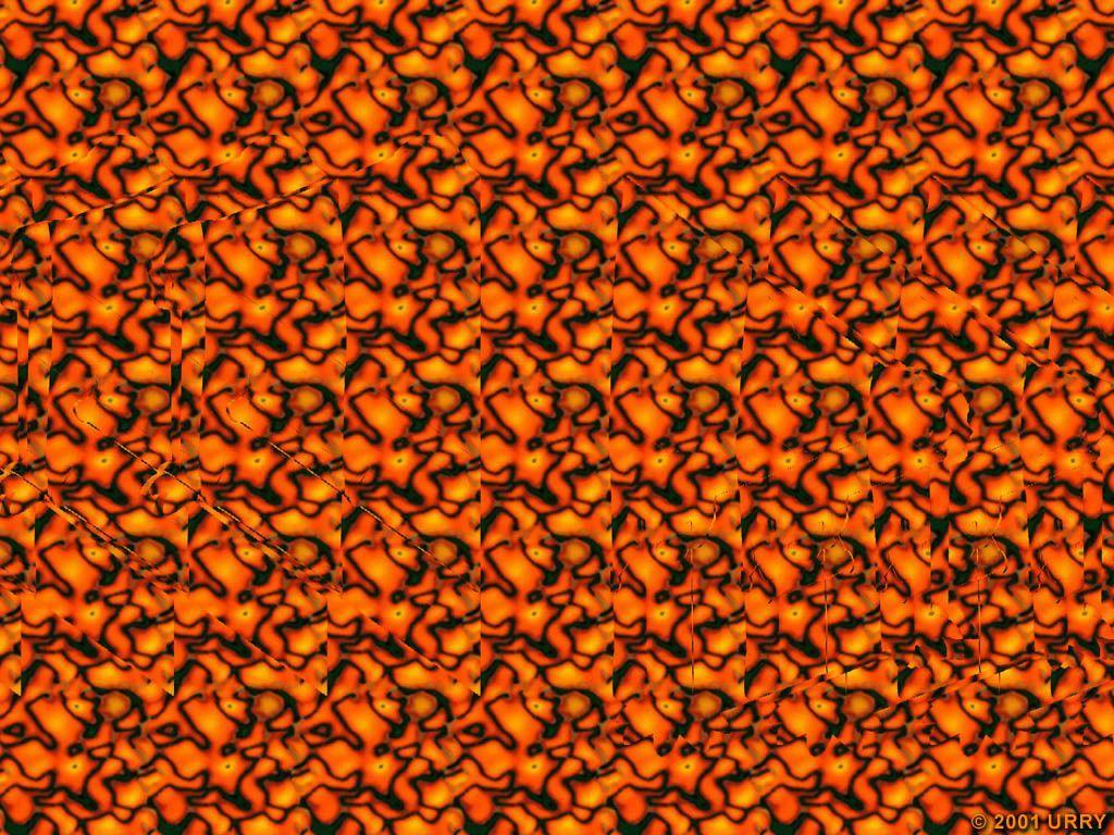 1024x768 3D Optical IllusionsD: Something like trunk or chest. Magic eyes, Optical illusions picture, Illusions