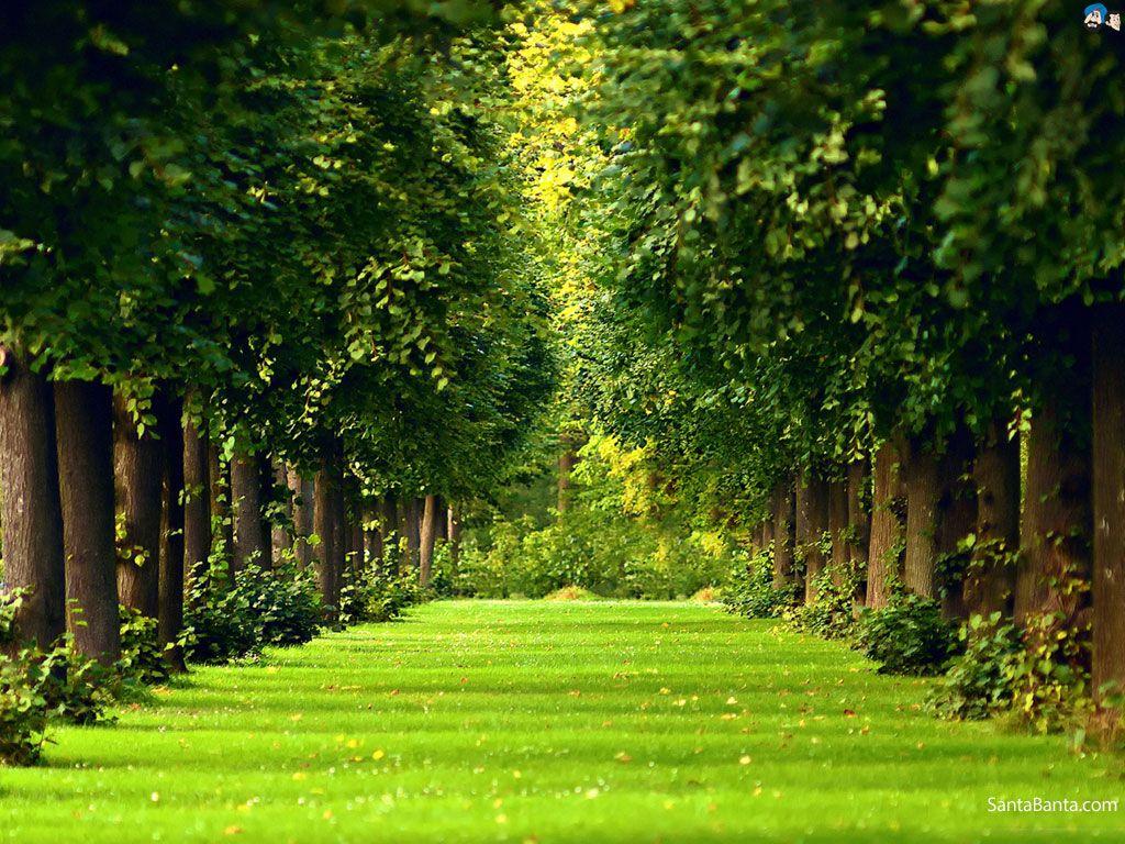1024x768 Irish wallpaperx900