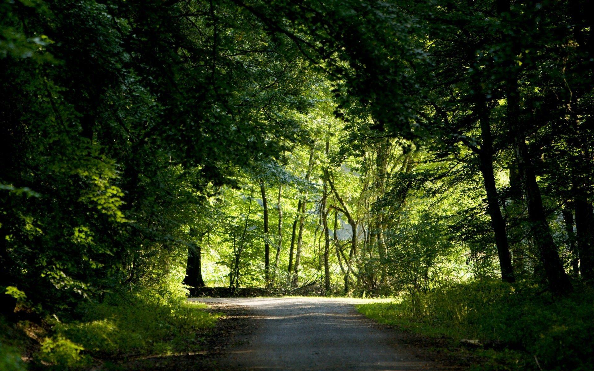 1920x1200 Nature Background. Beautiful Nature Wallpaper, Awesome Nature Wallpaper and Pretty Nature Wallpaper