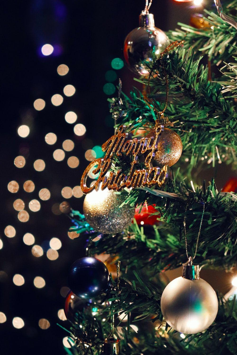 1000x1500 Merry Christmas Picture [HD]. Download Free Image