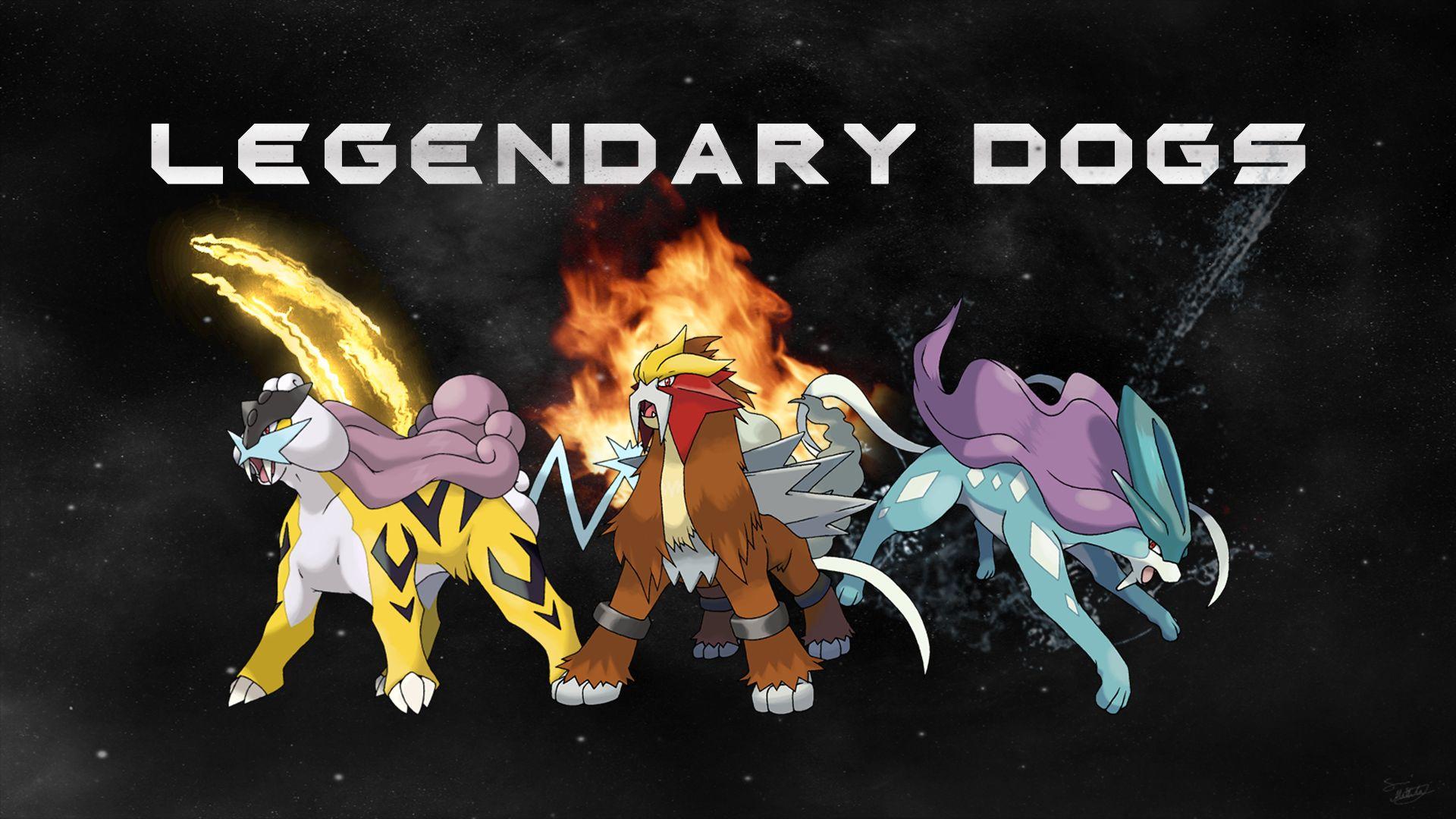 1920x1080 Dogs Wallpaper