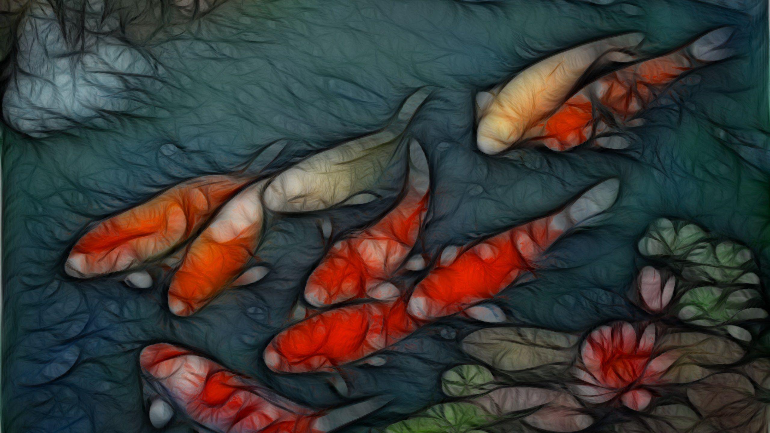 Koi Art Wallpapers Top Free Koi Art Backgrounds Wallpaperaccess