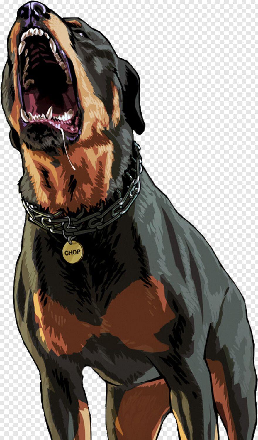 880x1499 Dog Wallpaper For iPhone Transparent Png