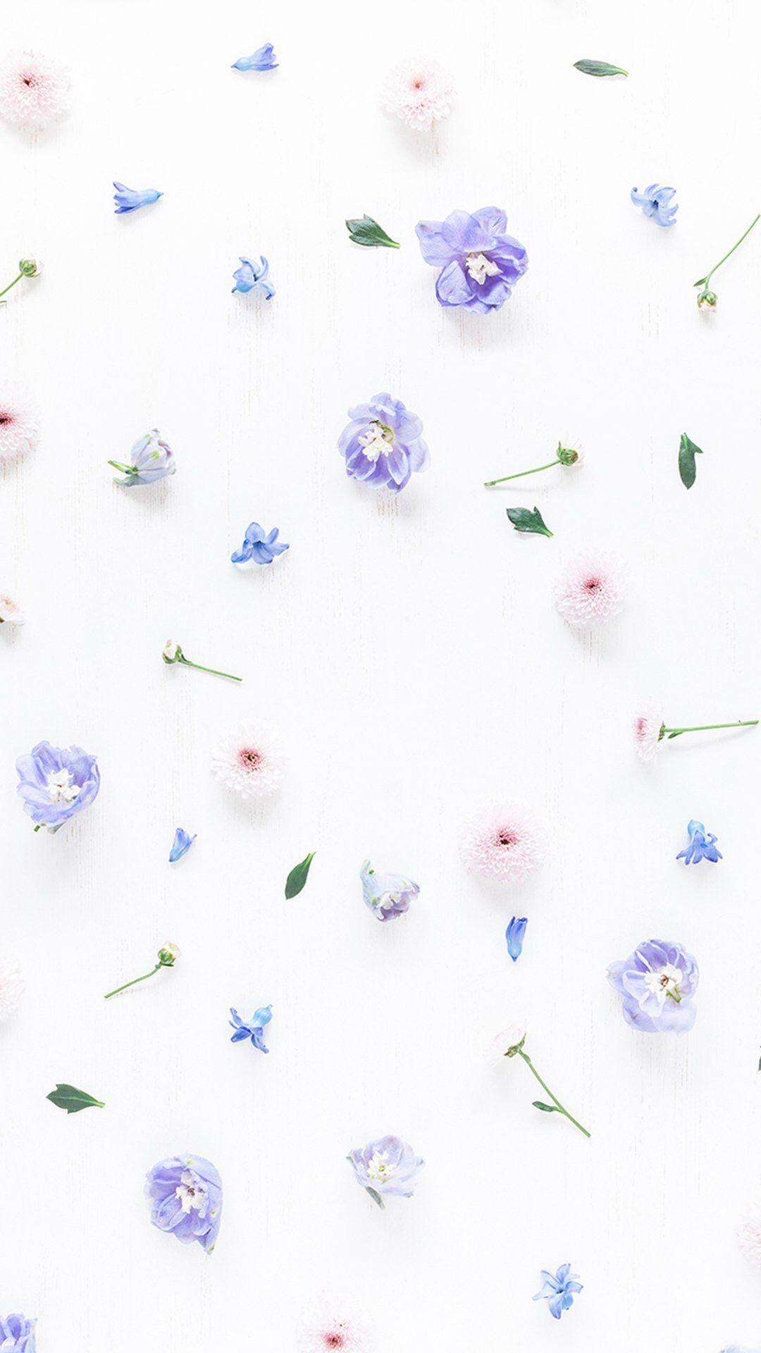 Cute Pastel Floral Wallpapers Top Free Cute Pastel Floral Backgrounds