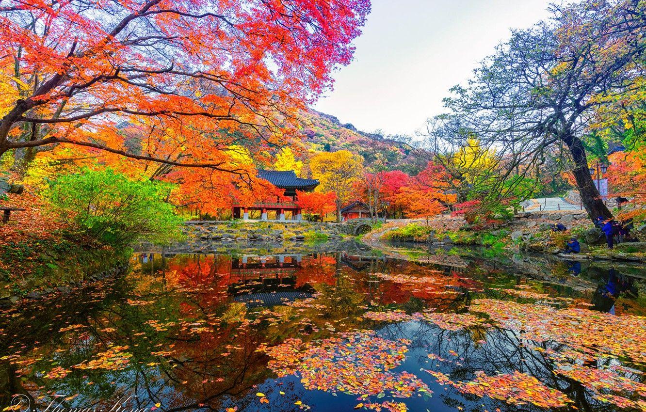 1332x850 Wallpaper Korea