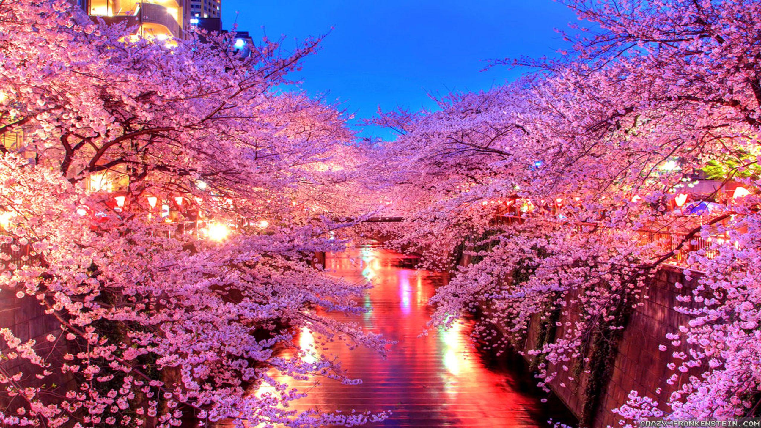 2560x1440 BEST WALLPAPER: Wallpaper Pc Korea