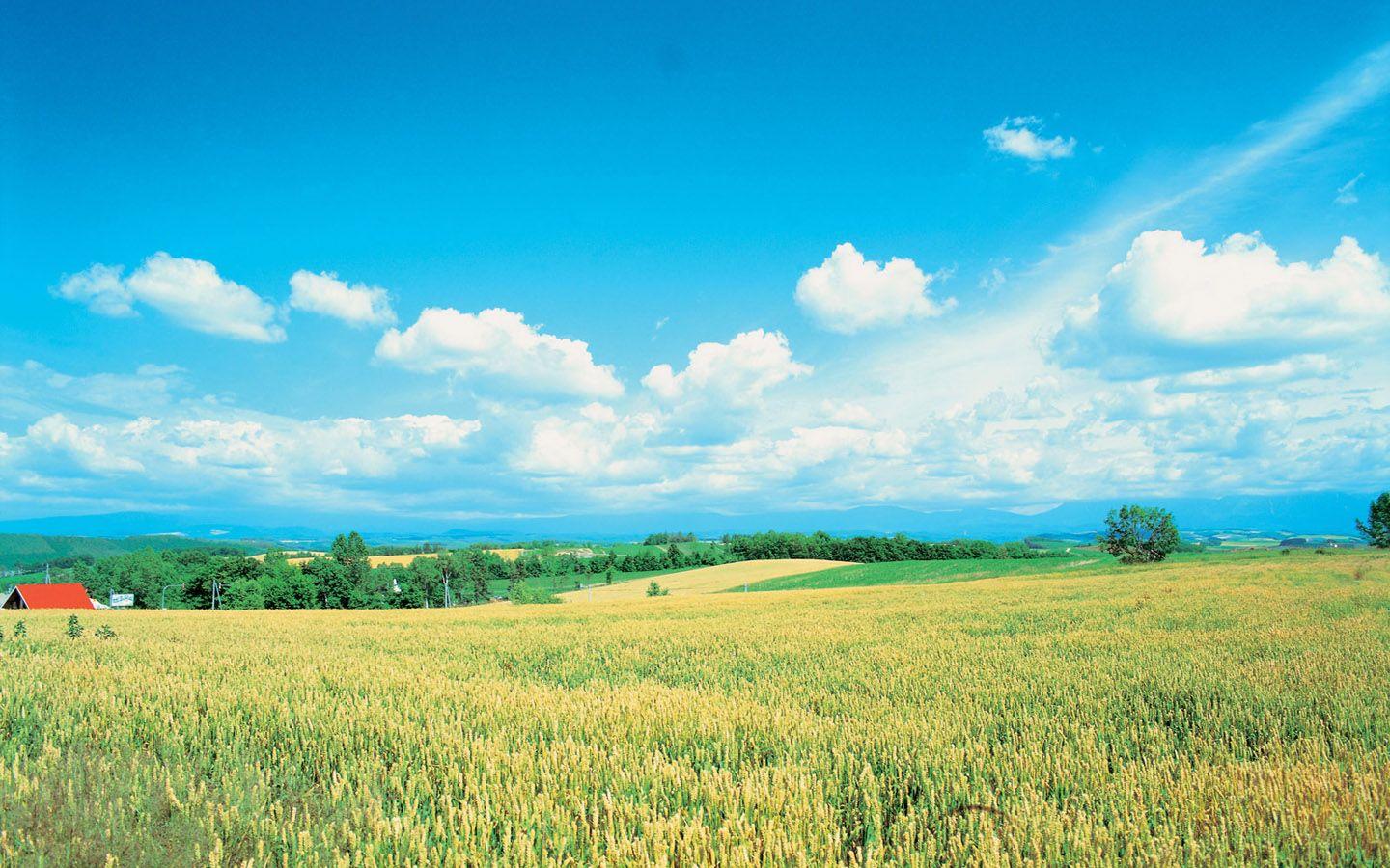 1440x900 The beautiful Korea Scenery NO.11 Desktop Wallpaper