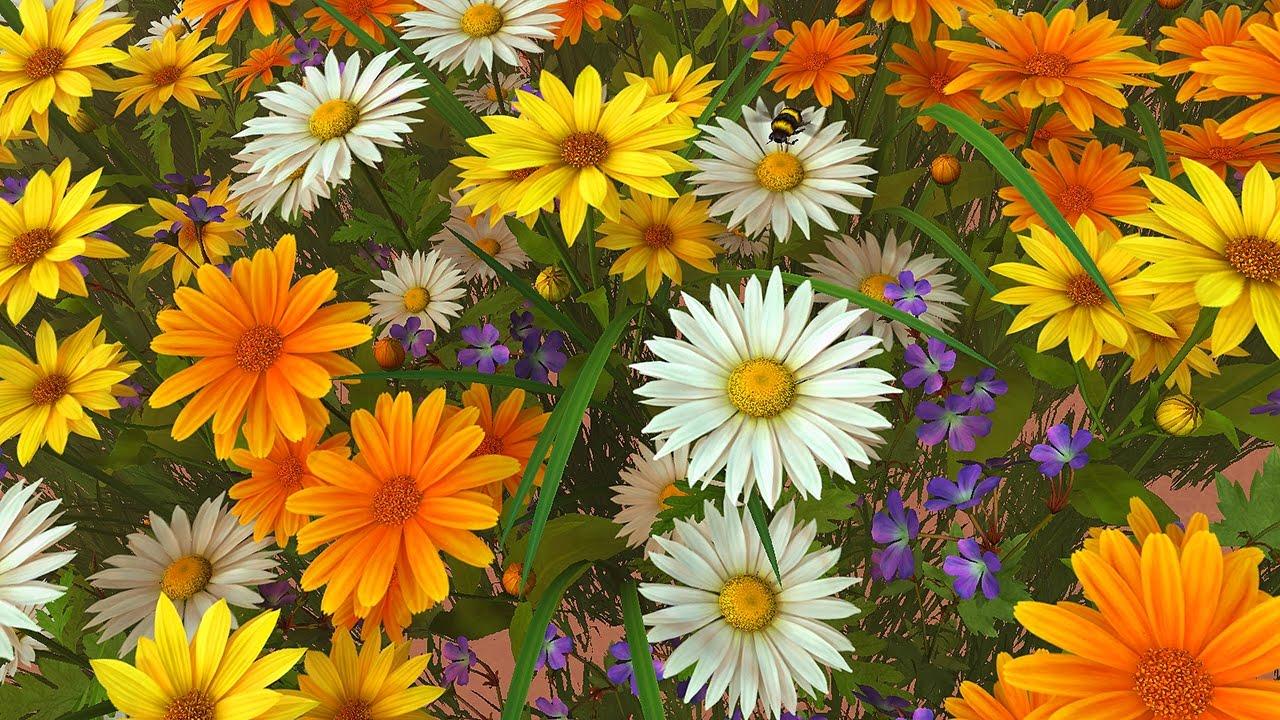 1280x720 Wildflowers 3D Screensaver & Live Wallpaper HD