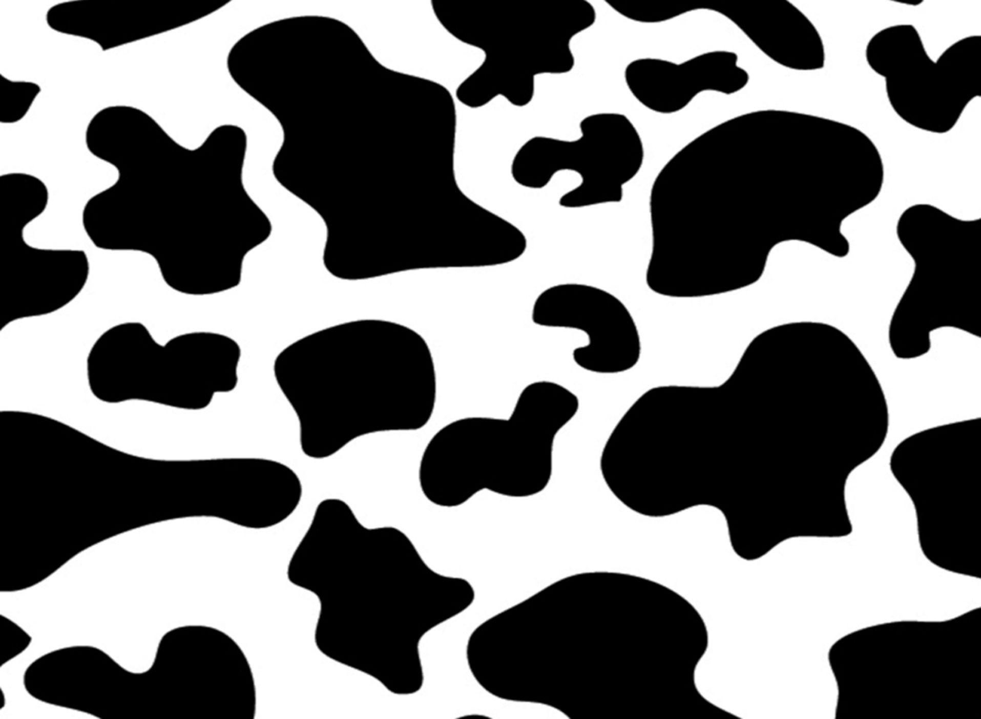 Cow Pattern Wallpapers - Top Free Cow Pattern Backgrounds - WallpaperAccess