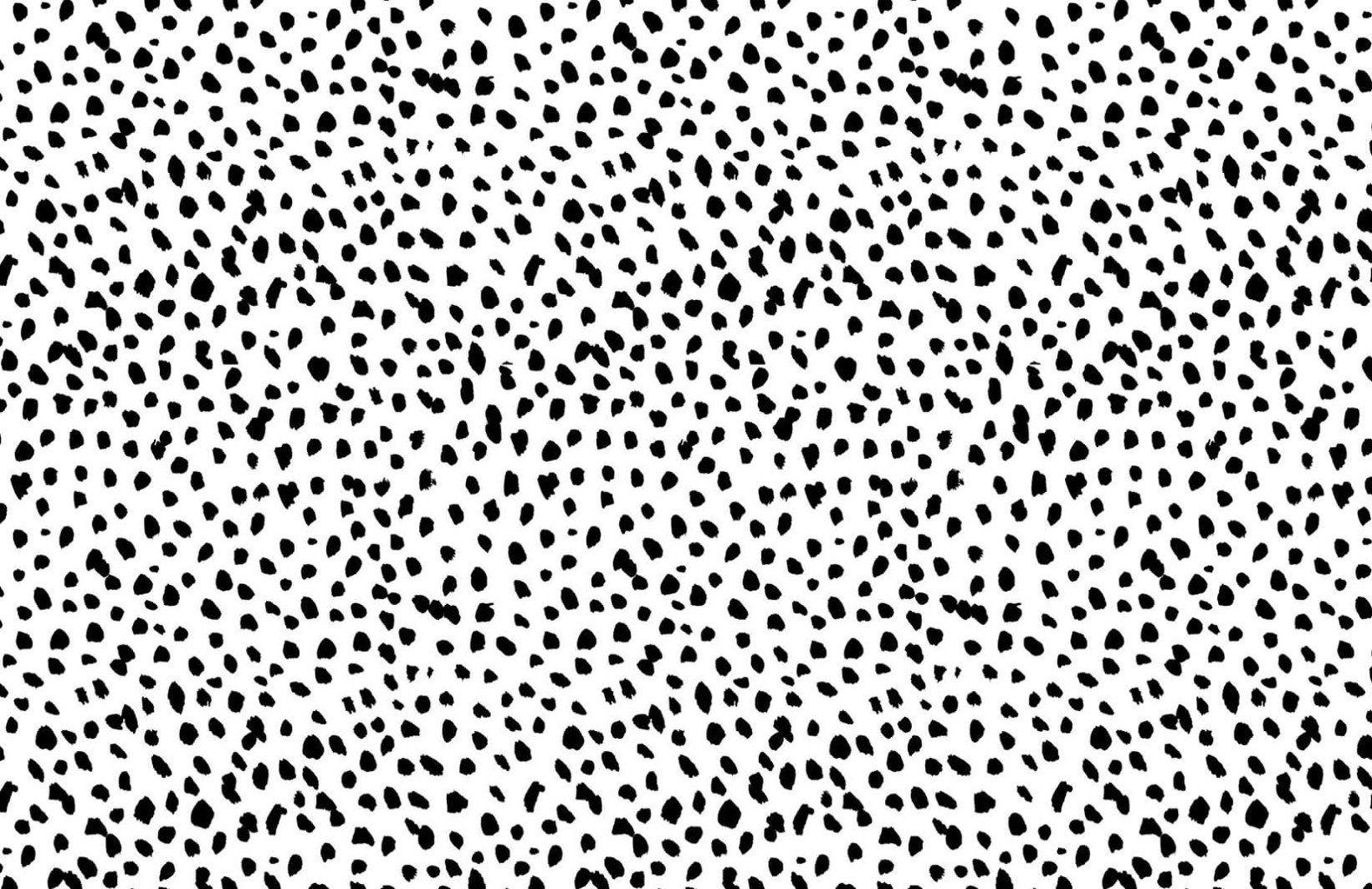 1640x1064 Black & White Dalmatian Print Wallpaper Mural. Murals Wallpaper. Cute desktop wallpaper, Macbook wallpaper, Laptop wallpaper desktop wallpaper