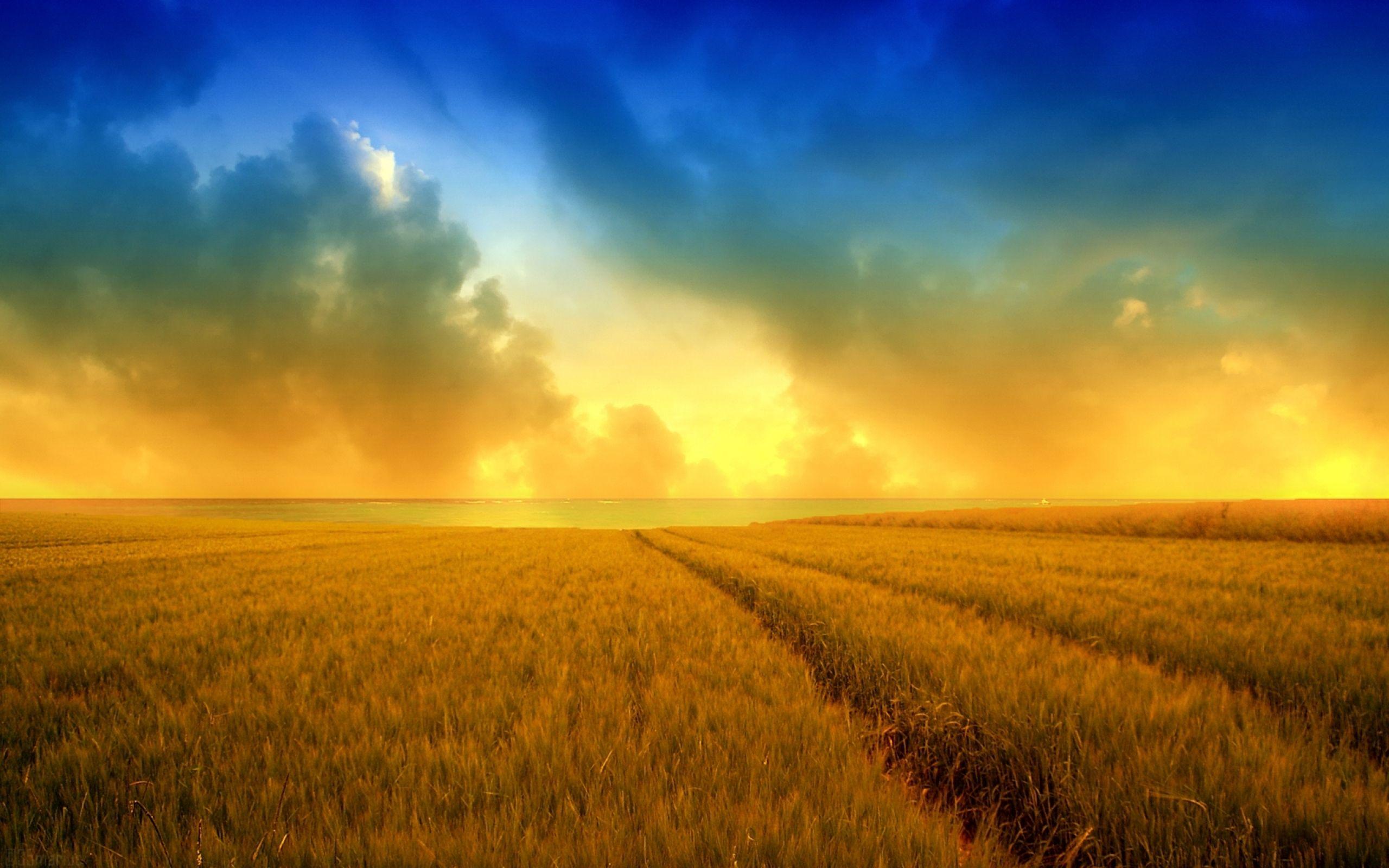 2560x1600 Hd Wallpaper Golden Harvest Wheat Field 2560x1600 :