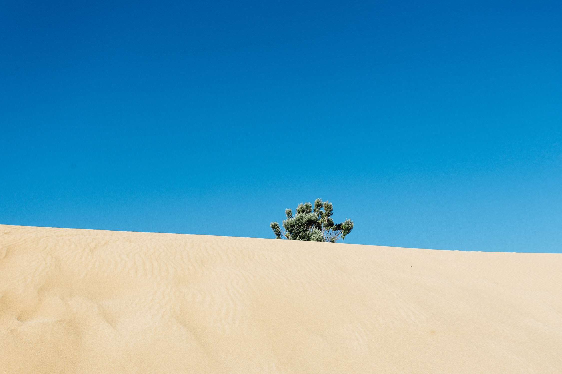 2250x1500 aesthetic, cactus, dunes, geometry, minimal, plant, sand, simple, sky, wallpaper wallpaper. Mocah.org HD Desktop Wallpaper
