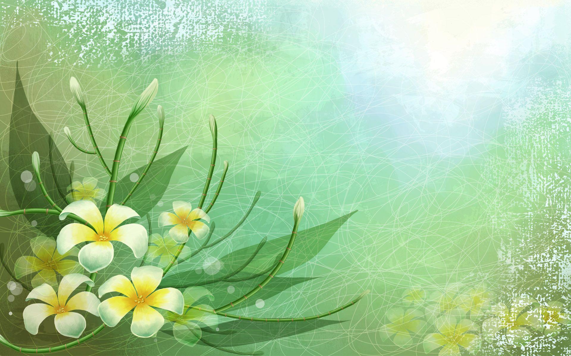 1920x1200 In Light and Graceful Color, a Flower in Full Bloom, It is Quite a Simple and Impressive Scene