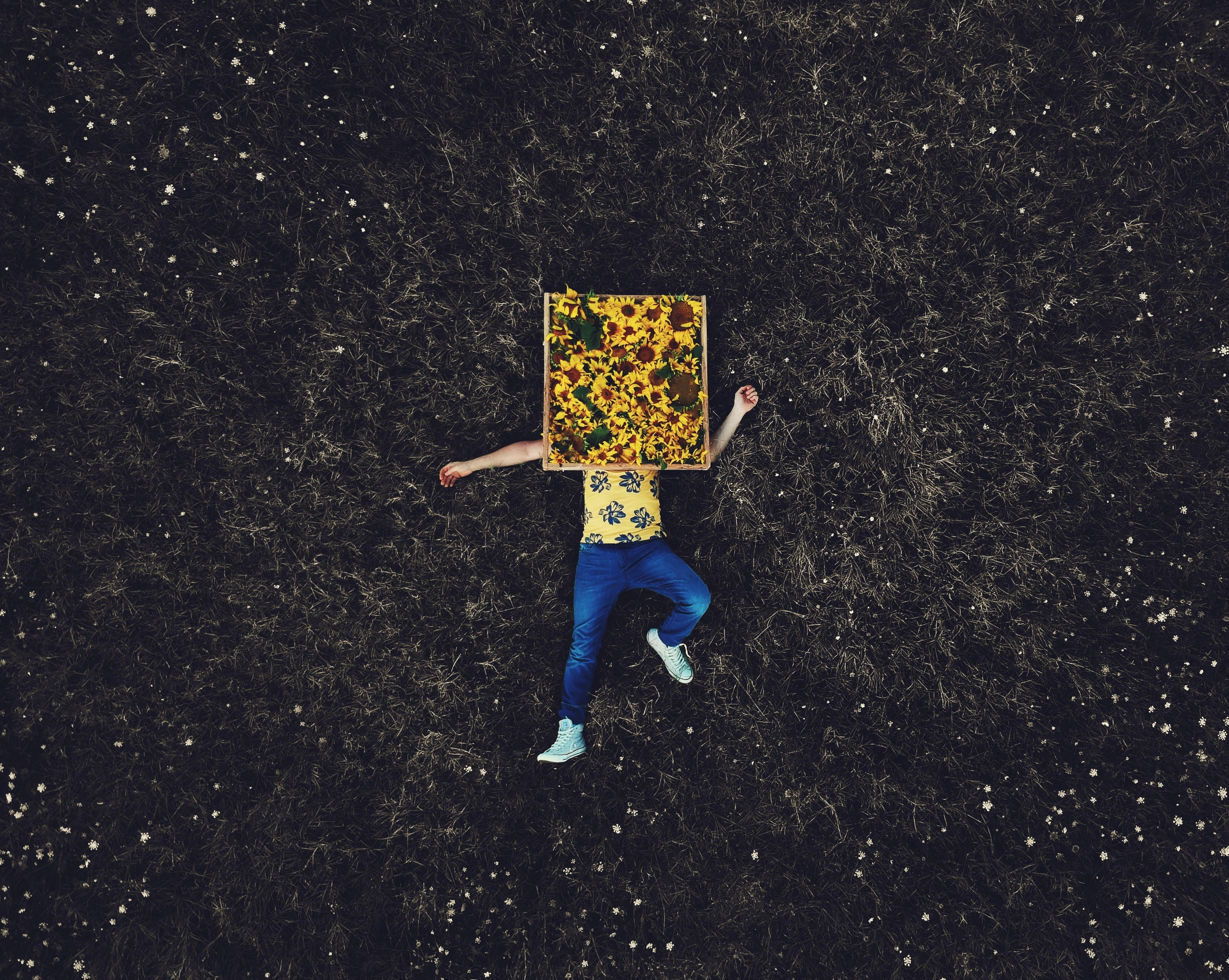 3593x2866 wallpaper lonely, field, flowers, minimalism HD : Widescreen : High Definition