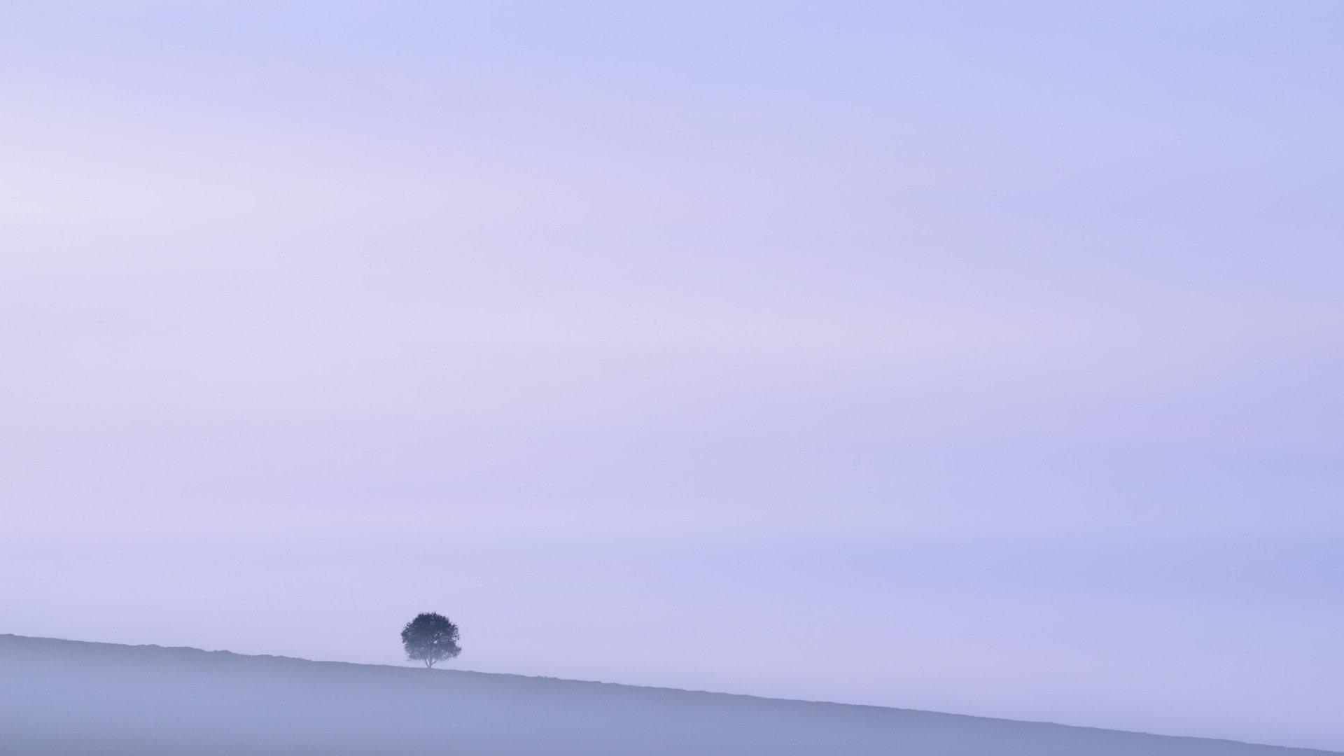 1920x1080 Lonely Tree wallpaper 1920x1080 Full HD (1080p) desktop background