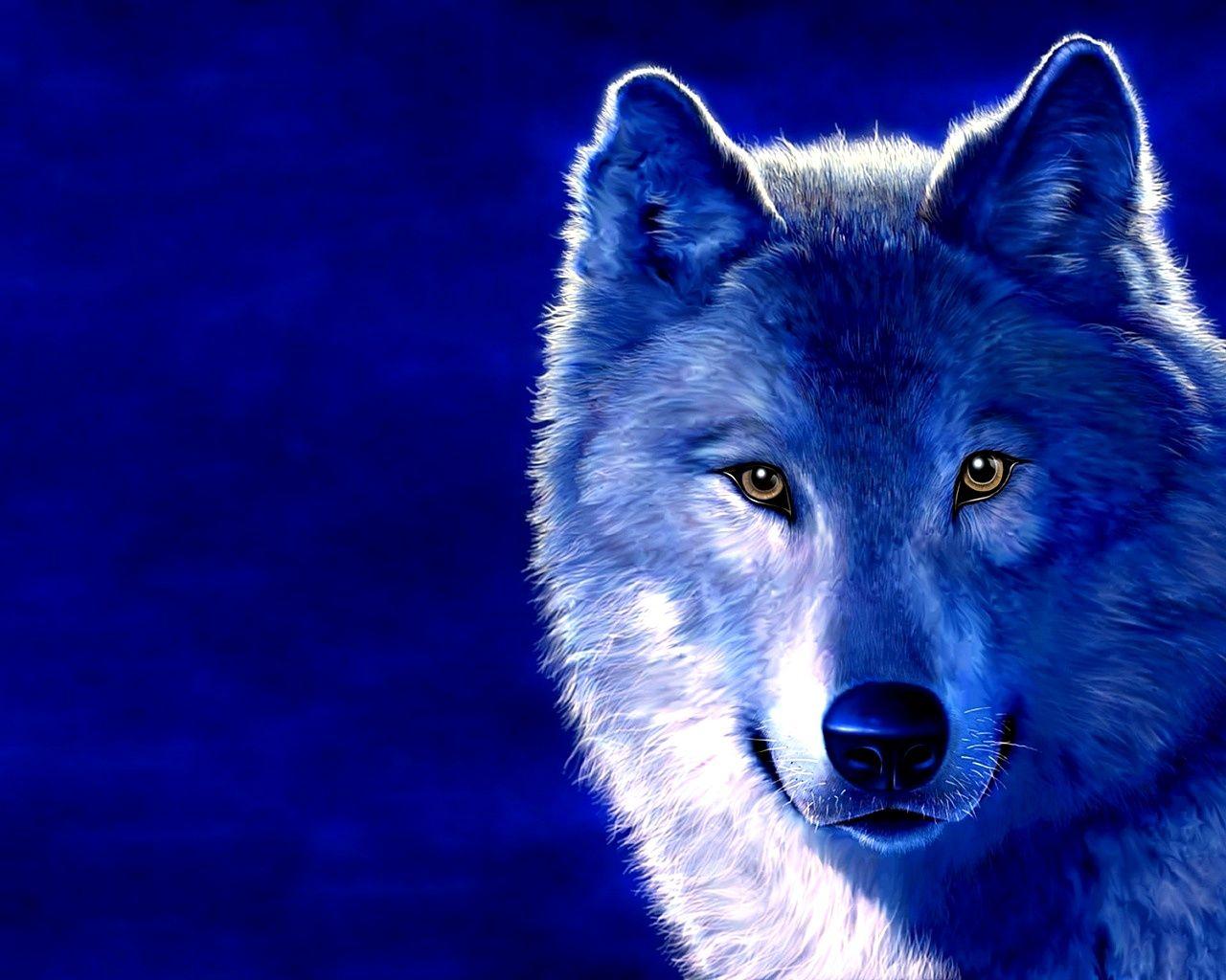 1280x1024 Free Wolf Wallpaper for Laptops