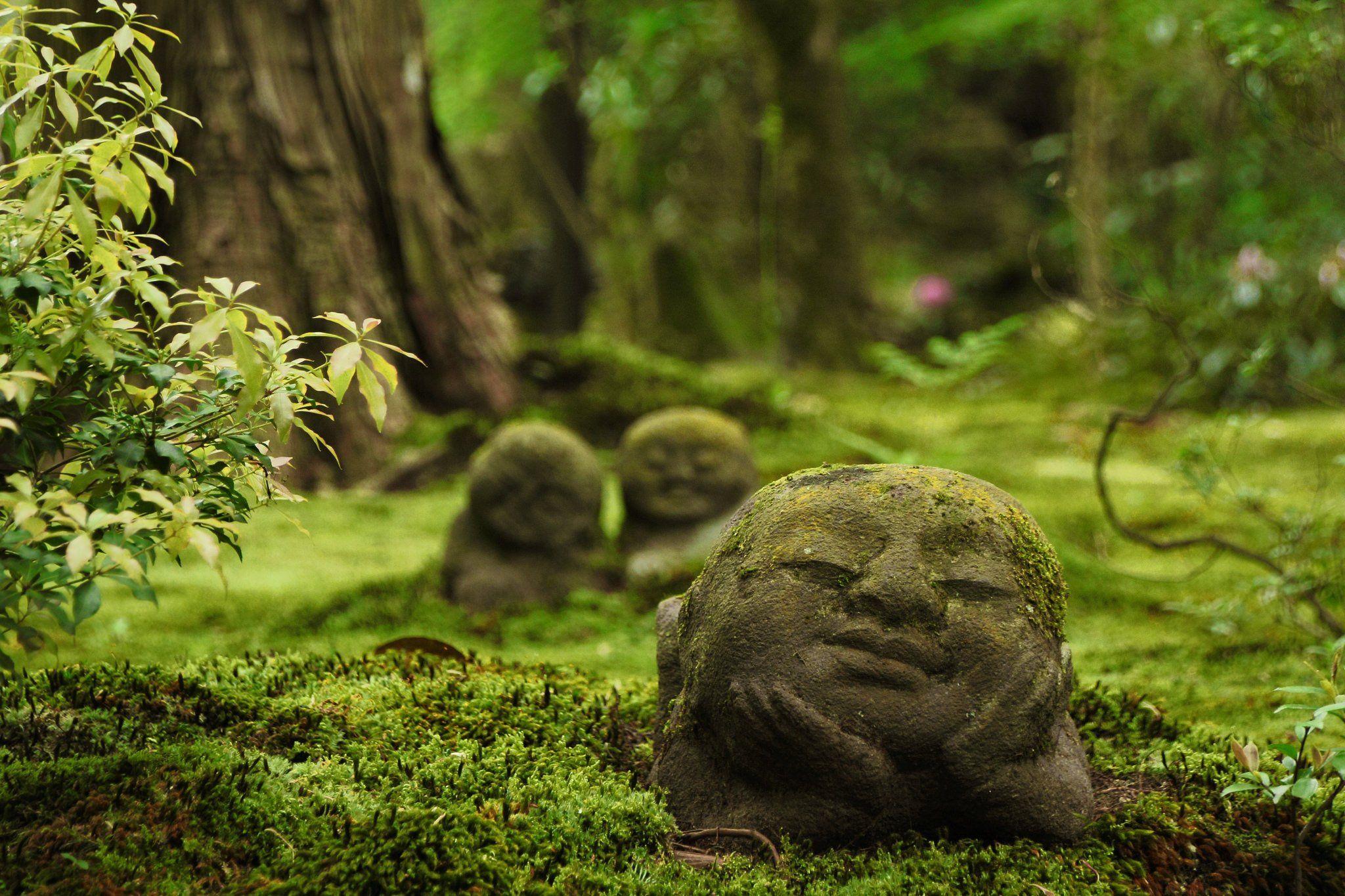 2048x1365 sanzen in, Temple, Ohara, Kyoto, Japan, Japan, Temple, Sculpture, Religion, Forest, Moos Wallpaper HD / Desktop and Mobile Background