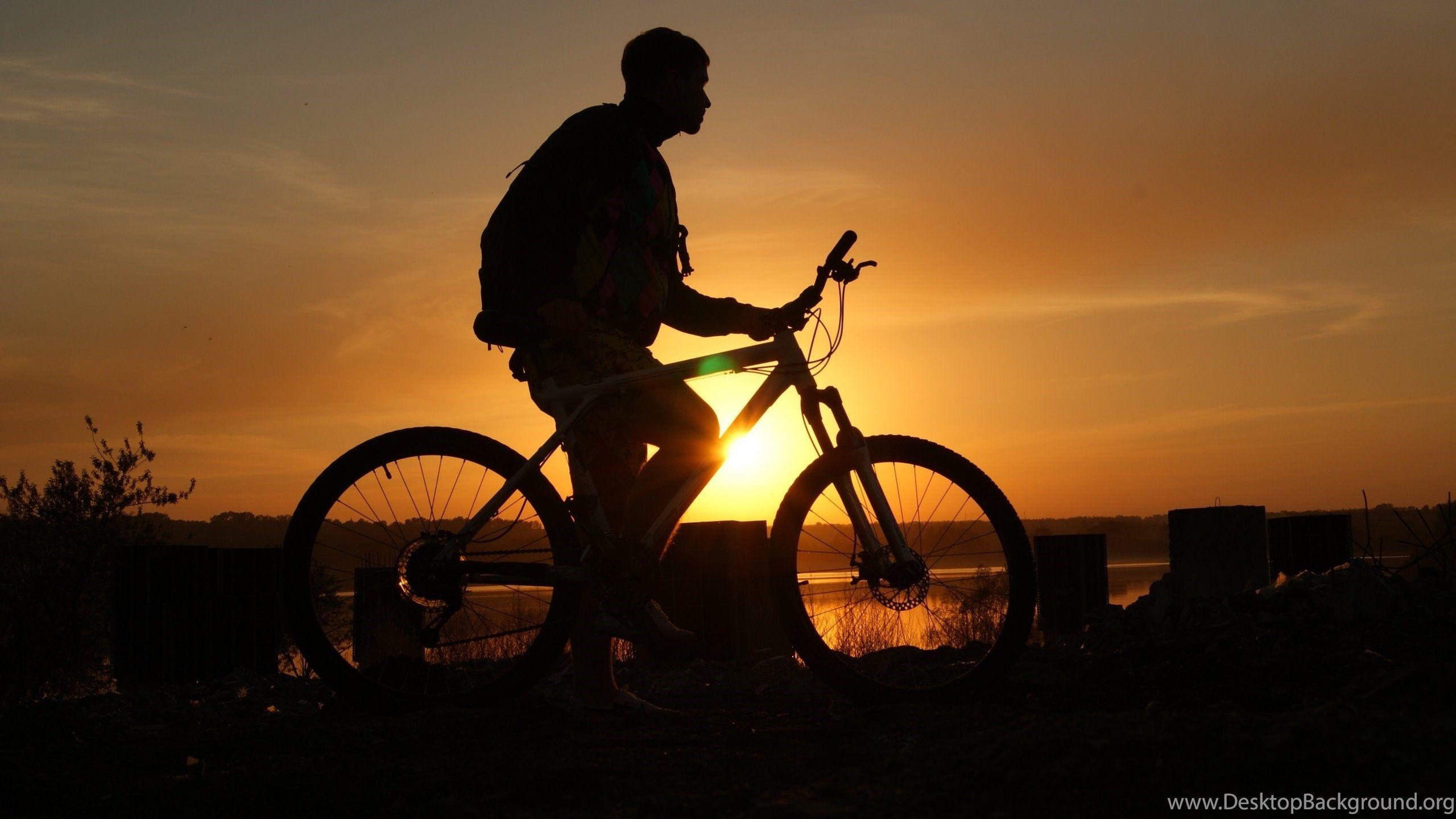 2560x1440 Cycling, Bicycle, Shadow Of A Man Wallpaper And Image. Desktop Background
