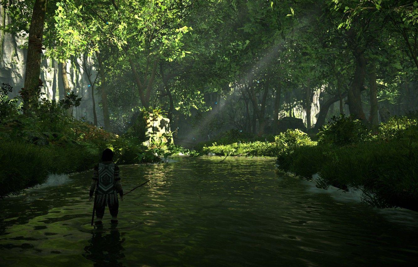 1332x850 Wallpaper forest, trees, river, Shadow of the Colossus, In the shadow of the colossus image for desktop, section игры