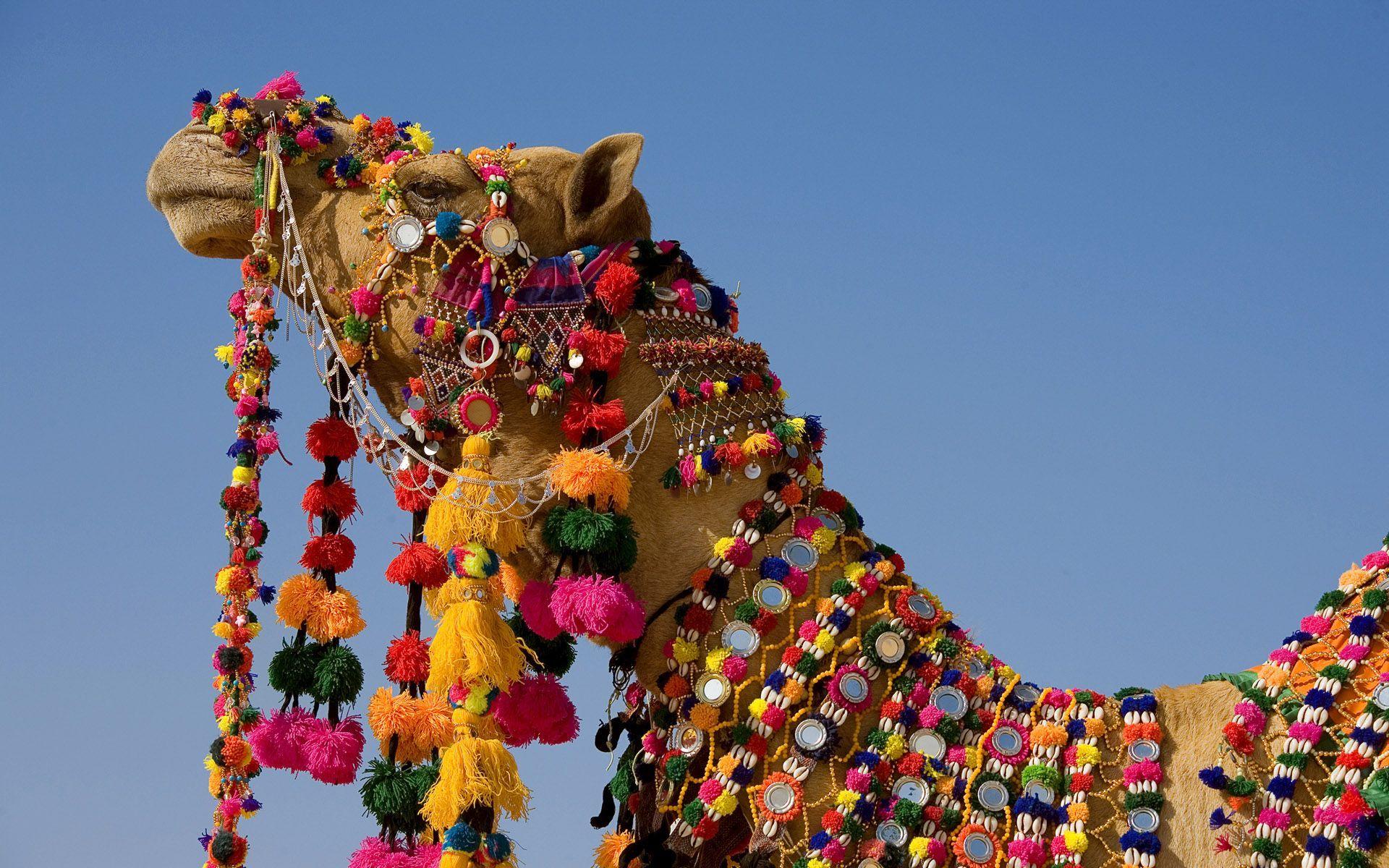 1920x1200 Cultures / India