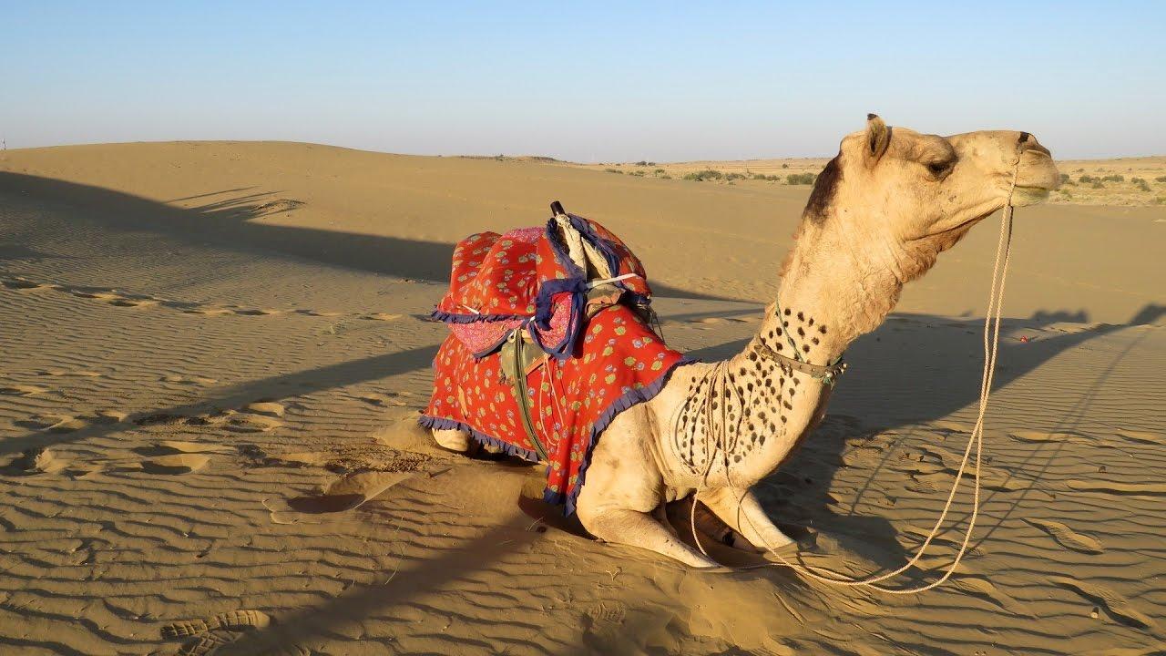 1280x720 India ride in the desert