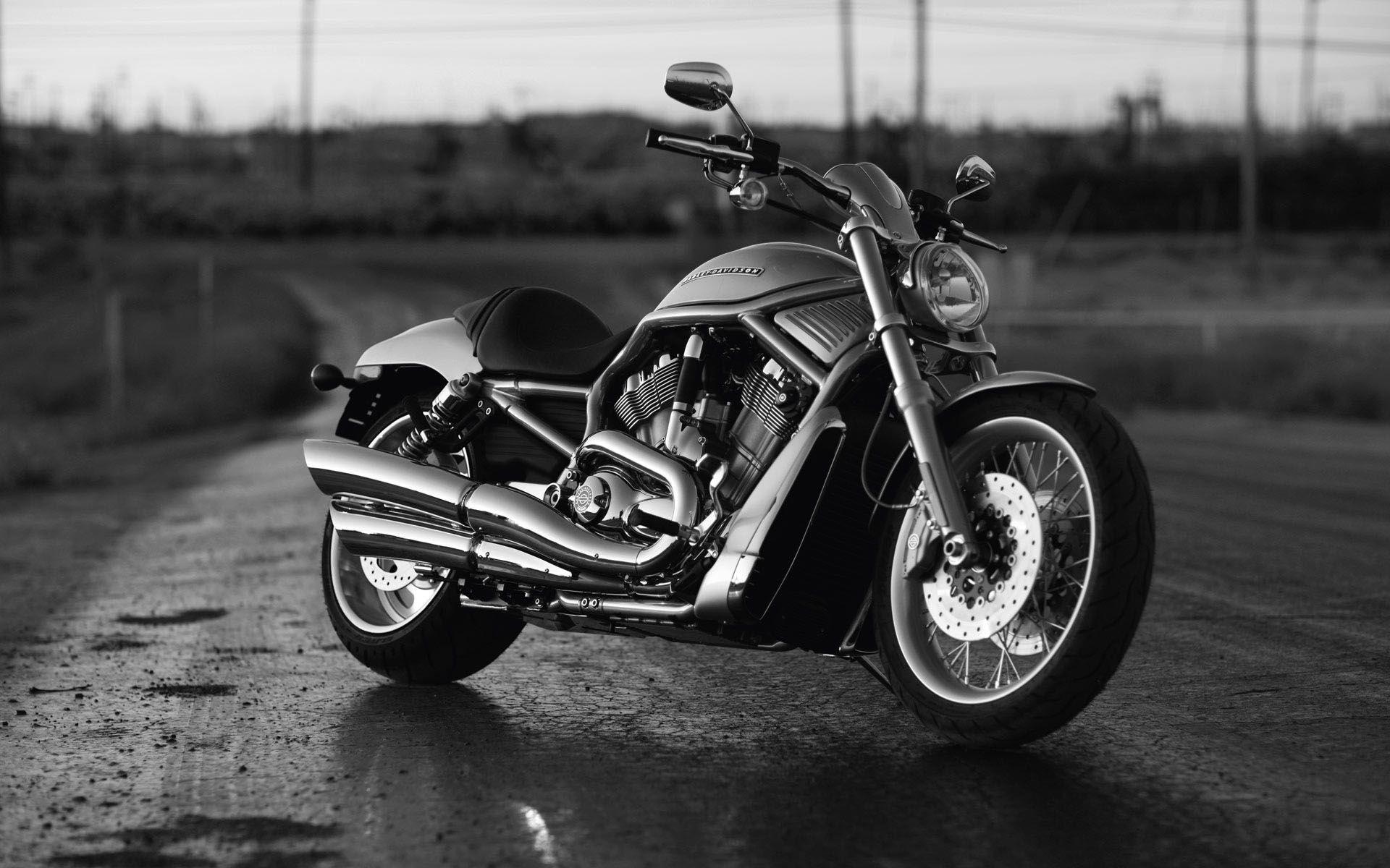 Harley Davidson Bike Wallpaper Hd Download For Android Mobile