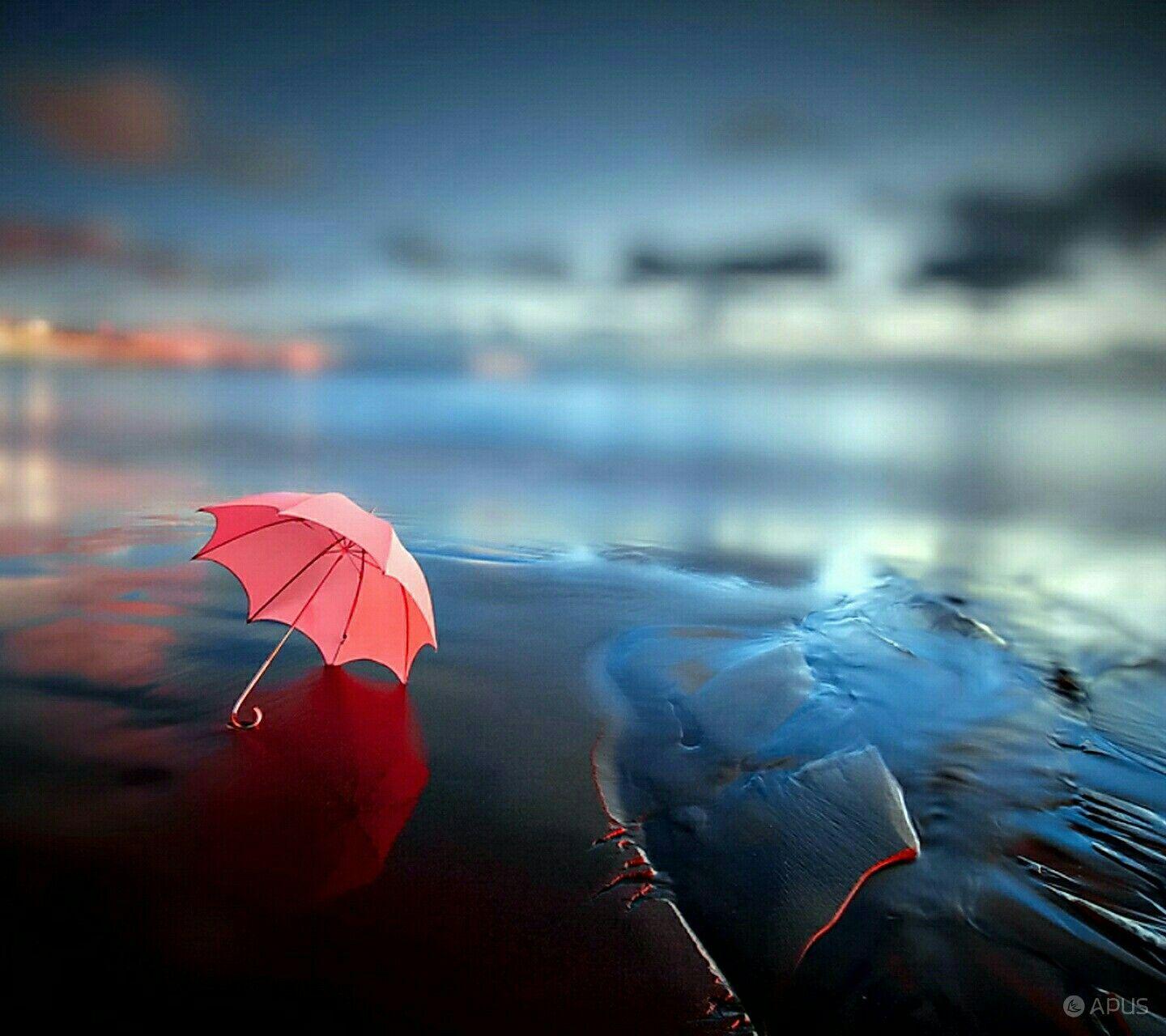1440x1280 wall paper. Picture, Umbrella, Popular wallpaper