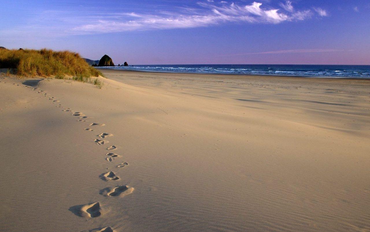 1280x804 Footsteps on beach wallpaper. Footsteps on beach