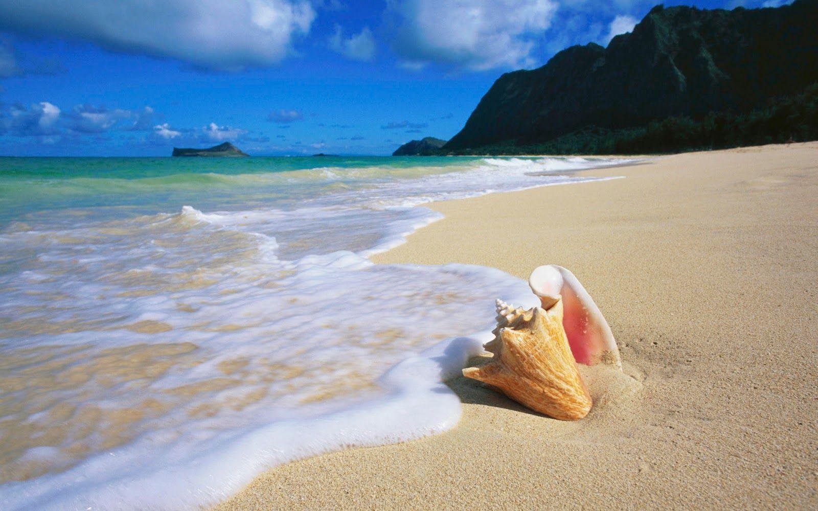 1600x1000 Beach Wallpaper For Mobile And Desktop In Full HD For Download