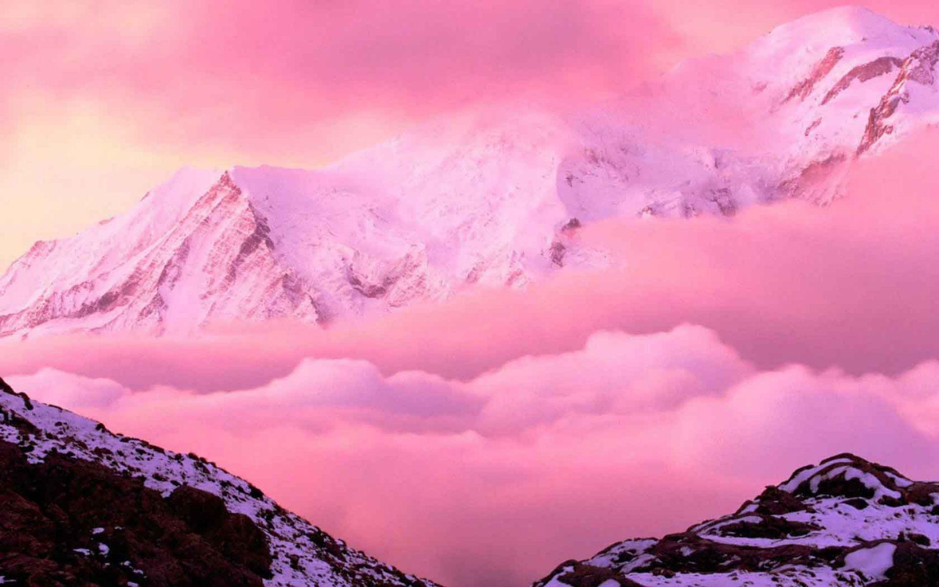 1920x1200 Hd Pink Wallpaper