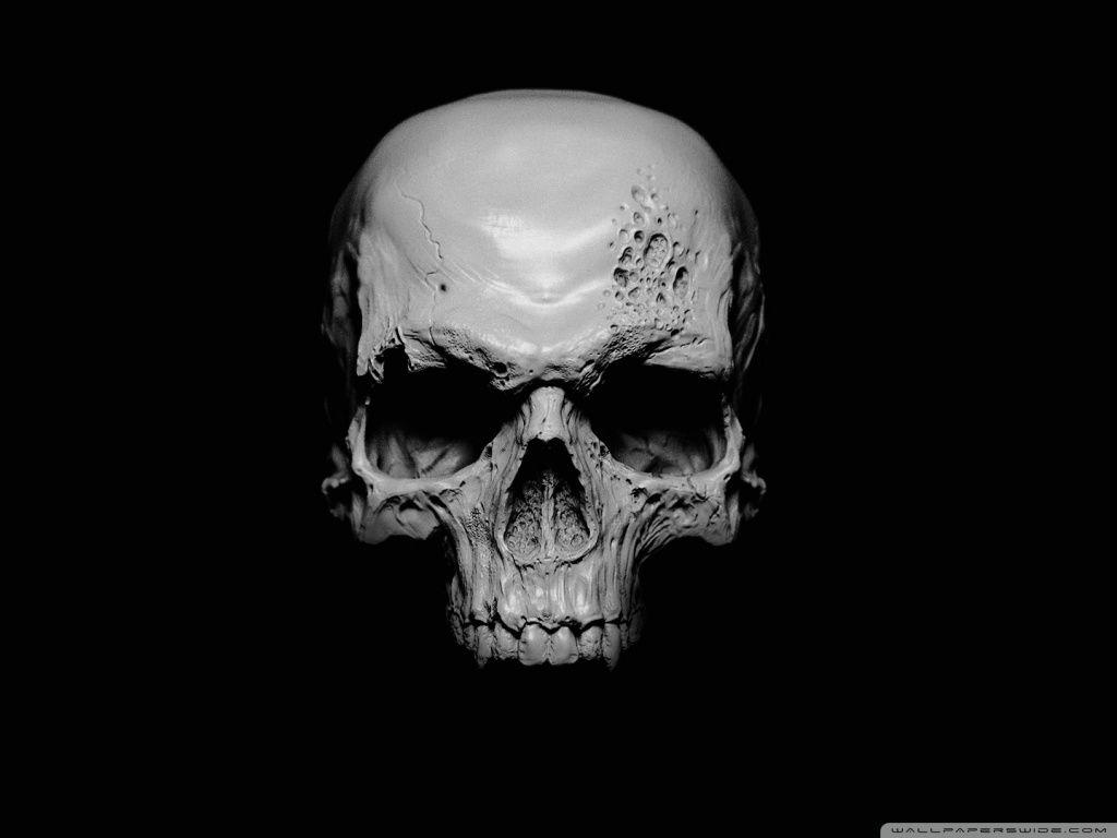 1024x768 Skull Ultra HD Desktop Background Wallpaper for 4K UHD TV : Widescreen & UltraWide Desktop & Laptop : Tablet