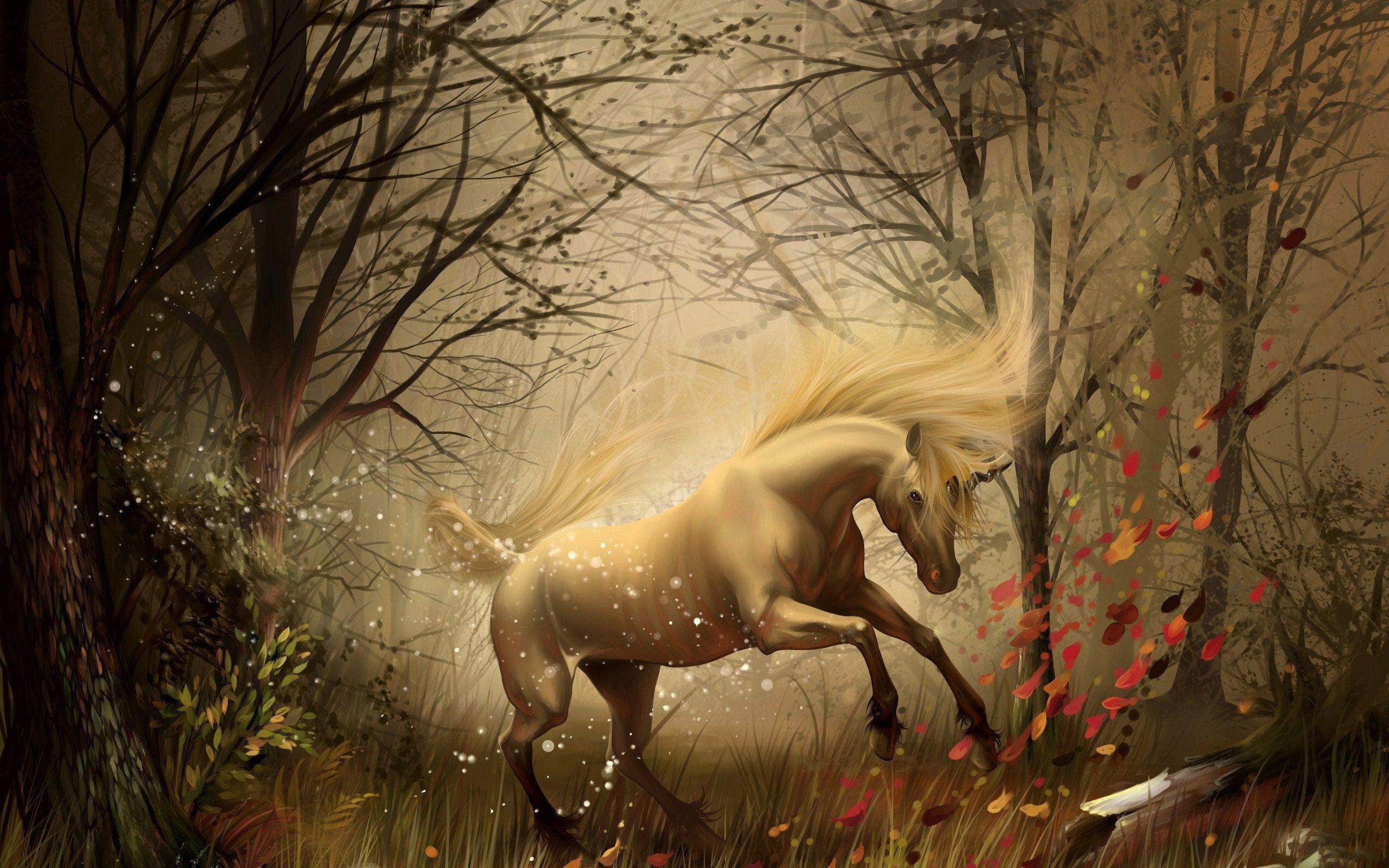 2560x1600 unicorn, In, The, Forest Wallpaper HD / Desktop and Mobile Background