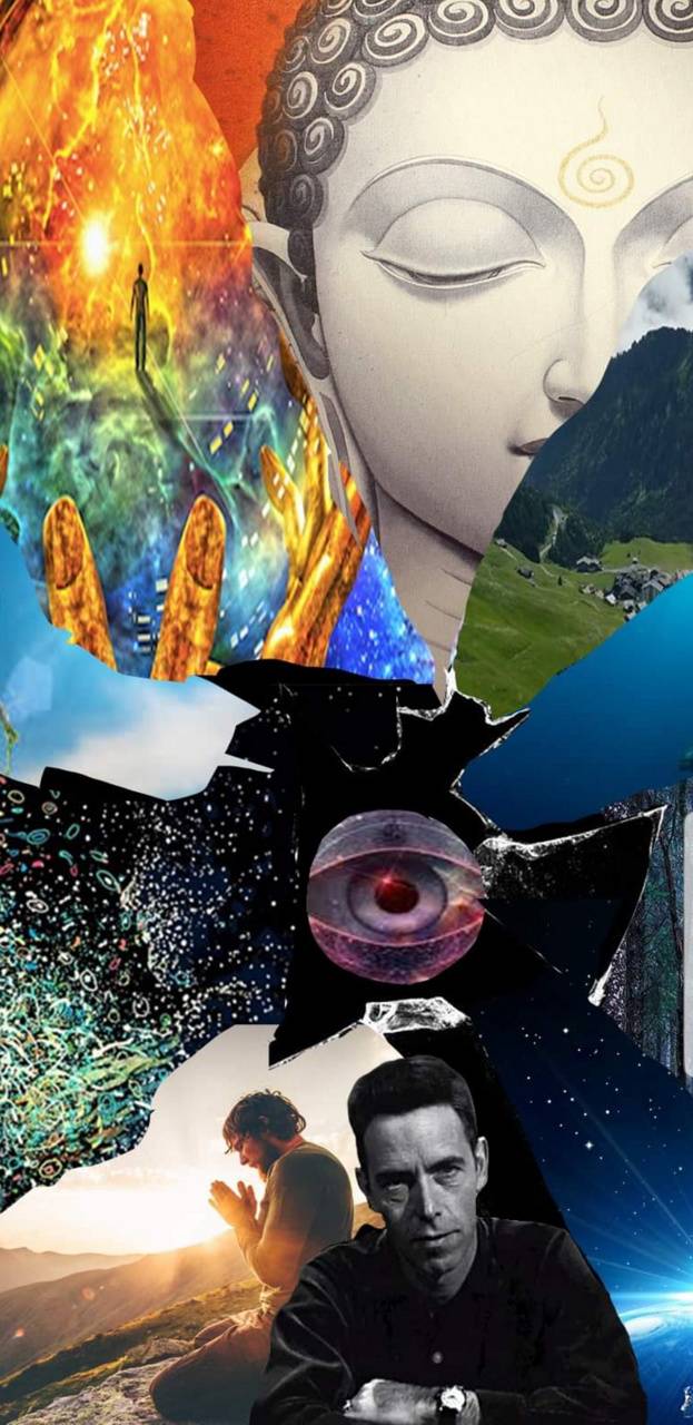 623x1280 Alan Watts wallpaper