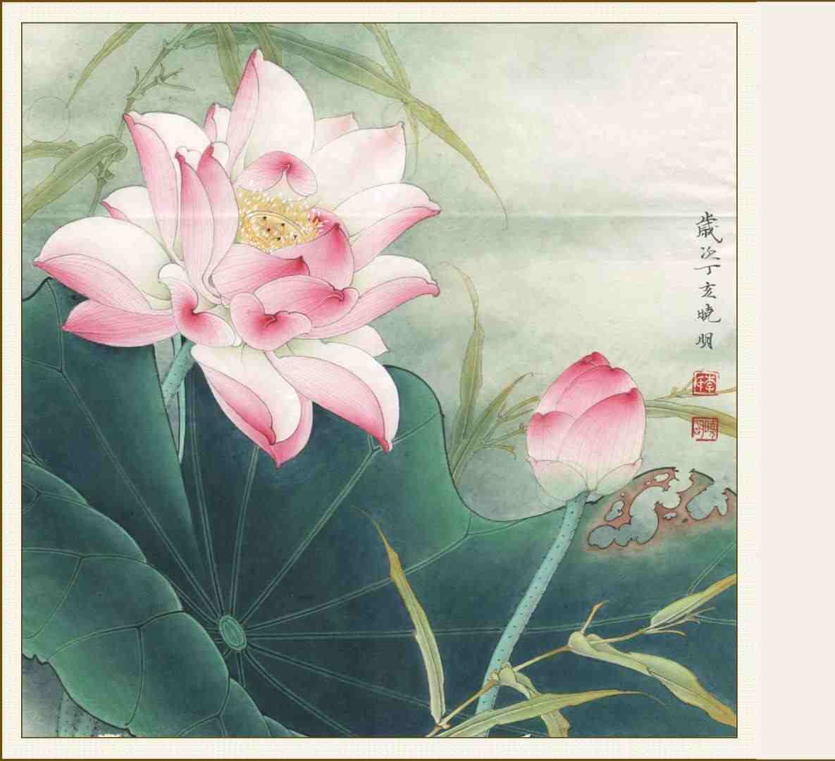 Japanese Lotus Wallpapers - Top Free Japanese Lotus Backgrounds ...