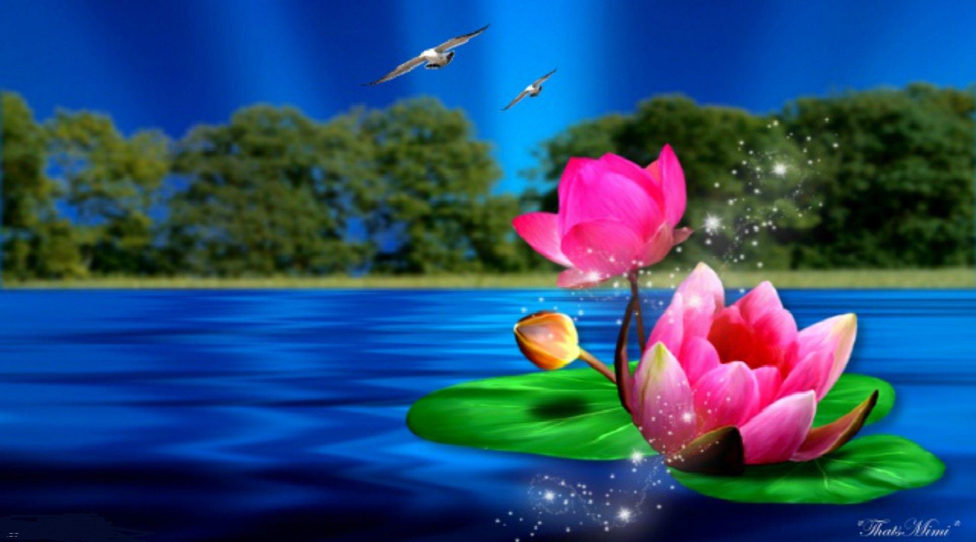 1980x1100 Flower: Flowers Blue Waters Lake Water Romantic Japanese Flower