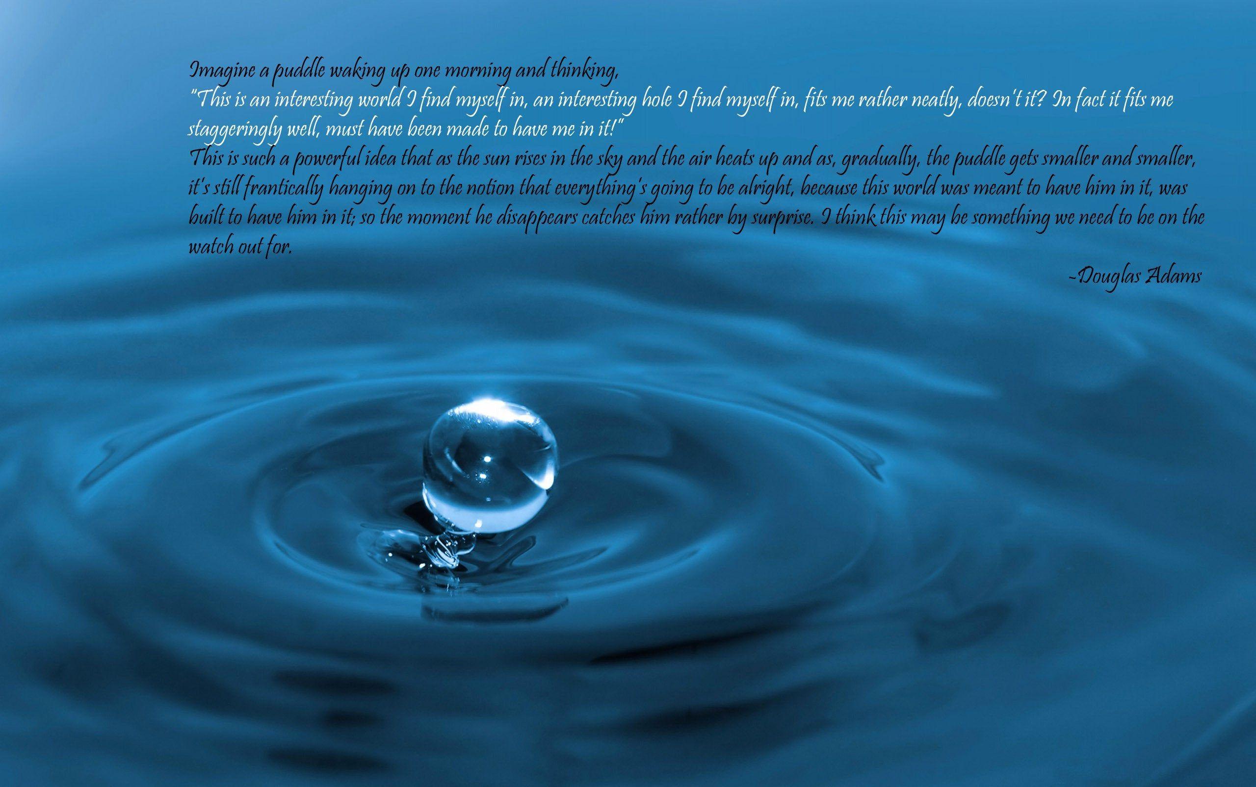 2560x1605 Imagine a puddle waking up one morning