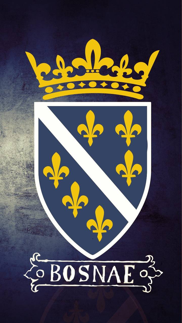 720x1273 Bosna E wallpaper