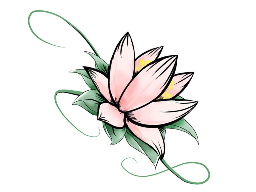 1024x768 Lotus Flower Drawing