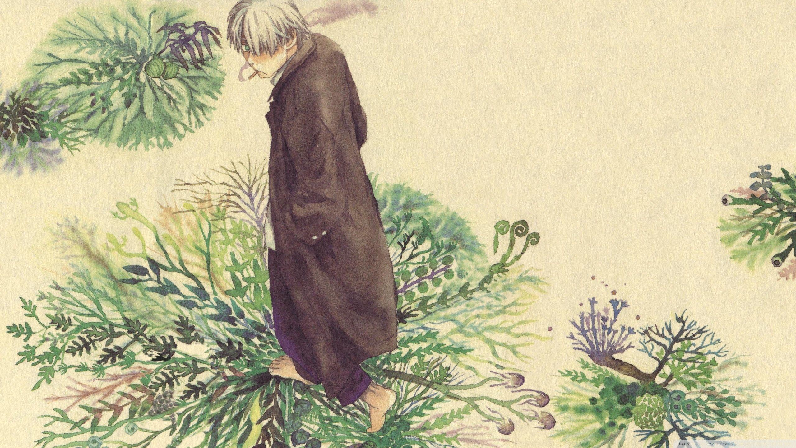 2560x1440 Watercolor Painting Ultra HD Desktop Background Wallpaper for 4K UHD TV : Tablet