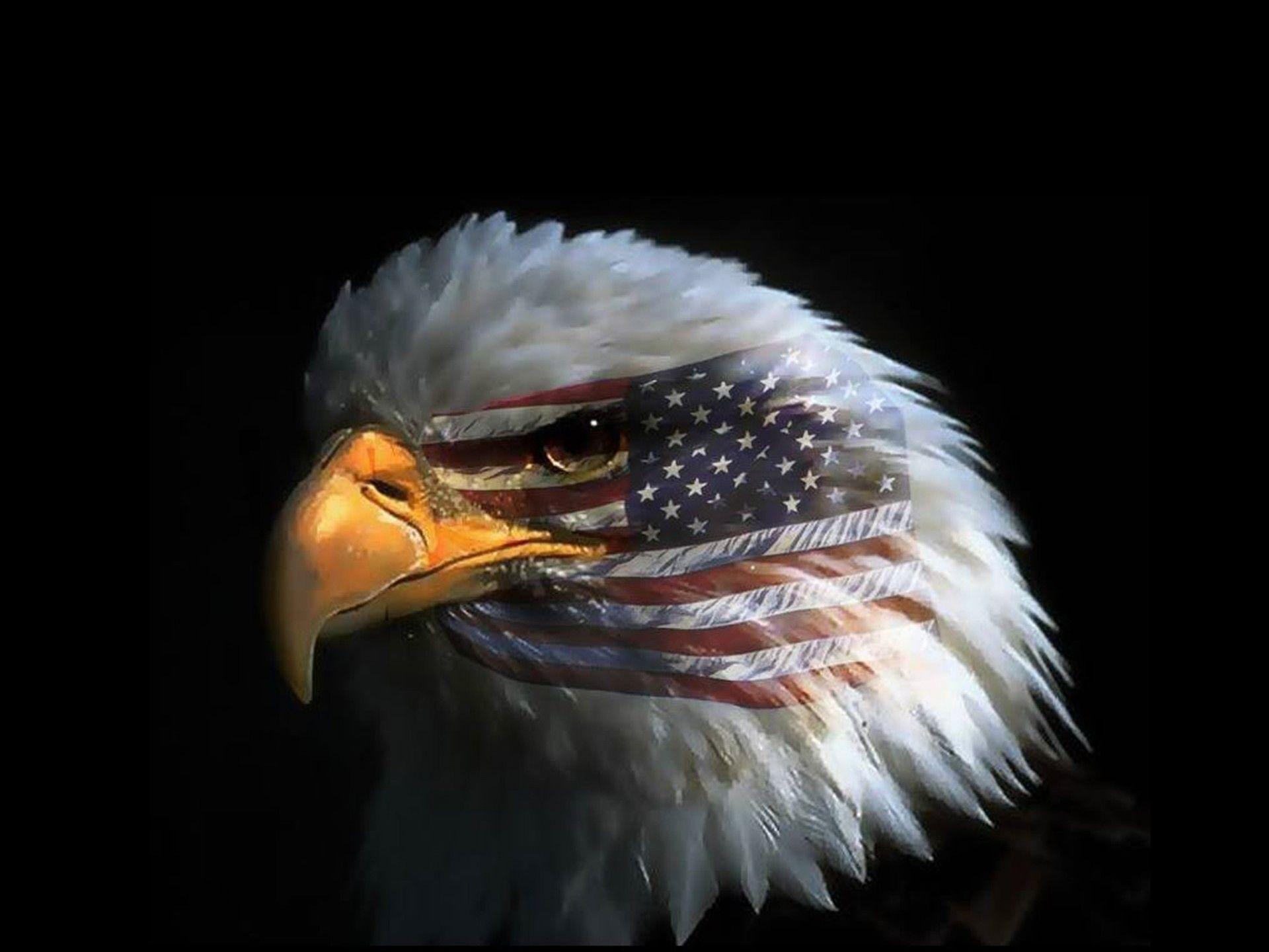 American Eagle Desktop Wallpapers - Top Free American Eagle Desktop ...